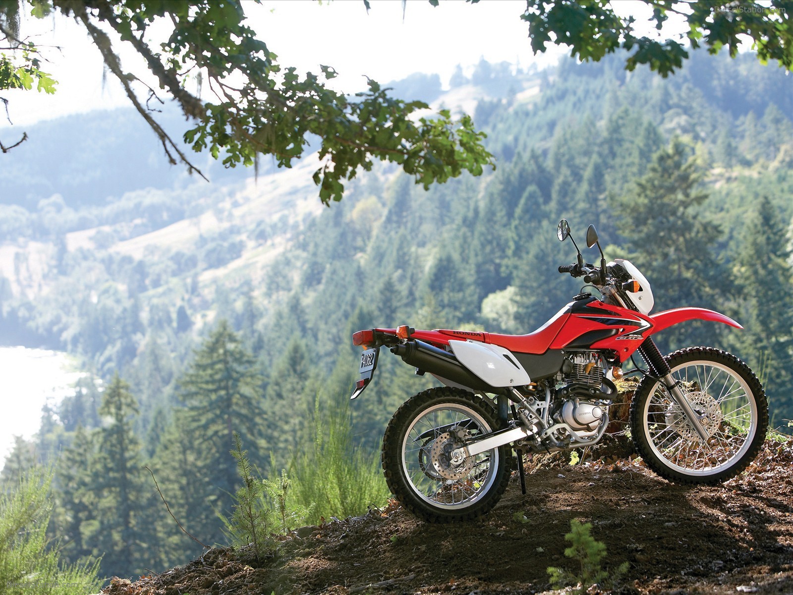 2009 Honda CRF230L