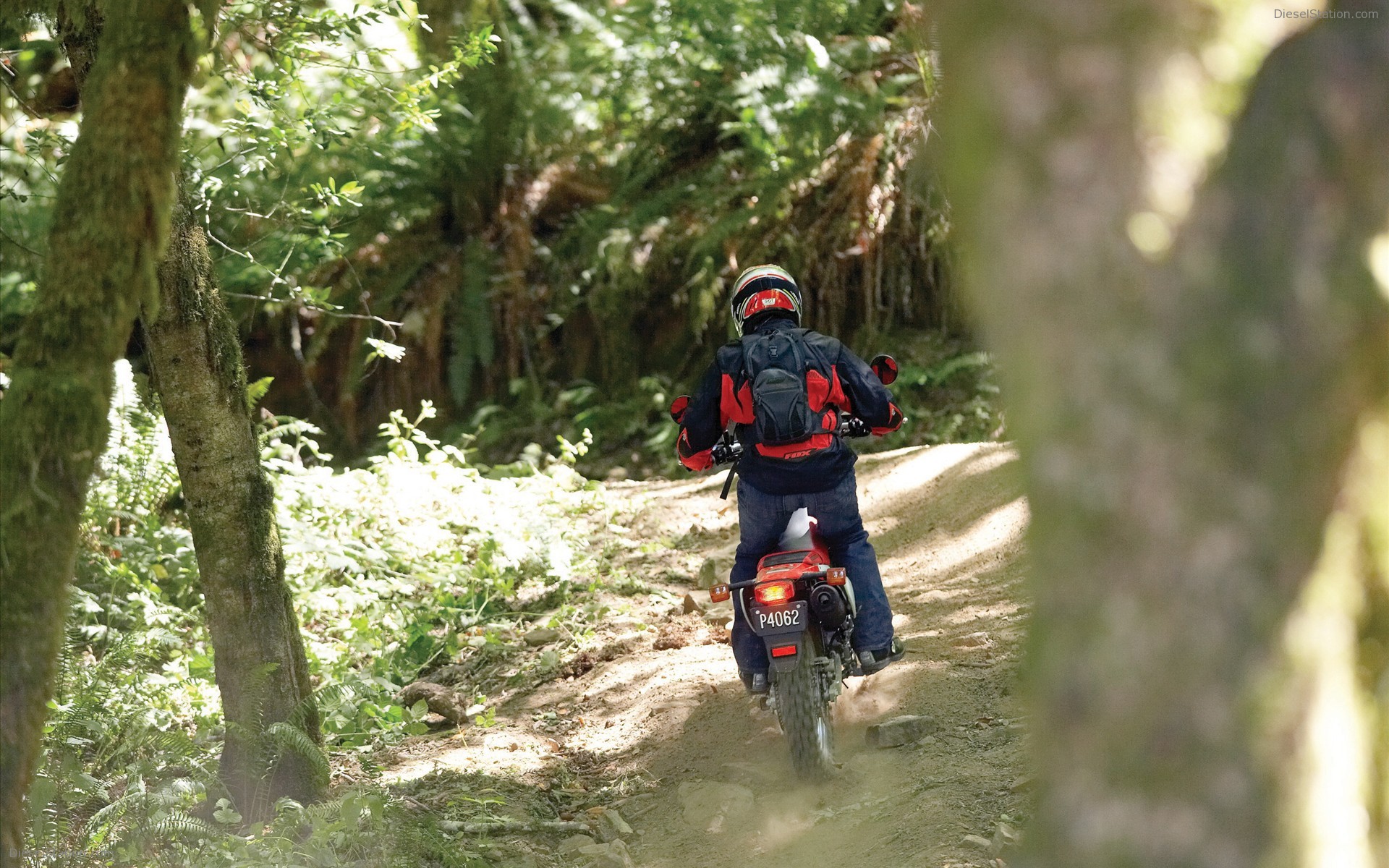 2009 Honda CRF230L