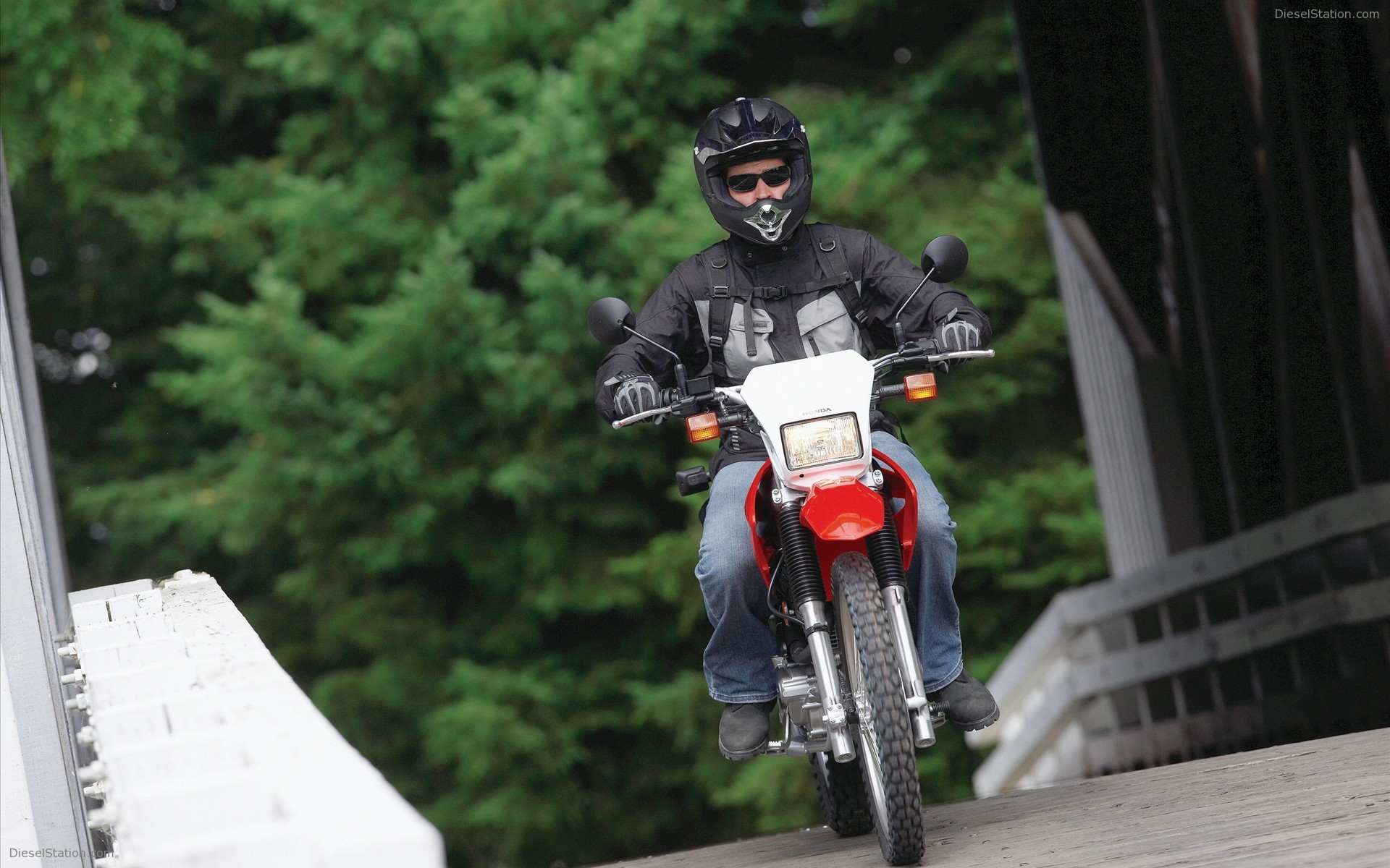 2009 Honda CRF230L