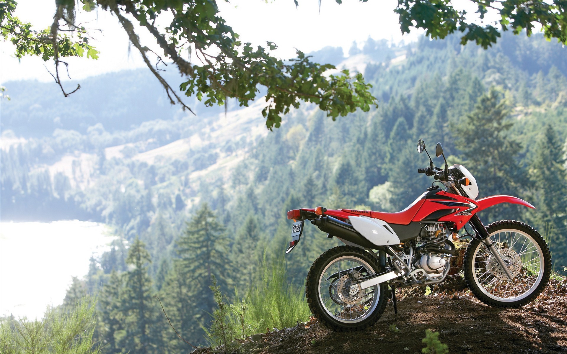 2009 Honda CRF230L