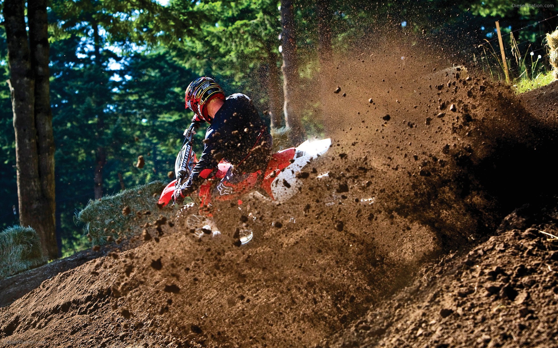 2009 Honda CRF 450R