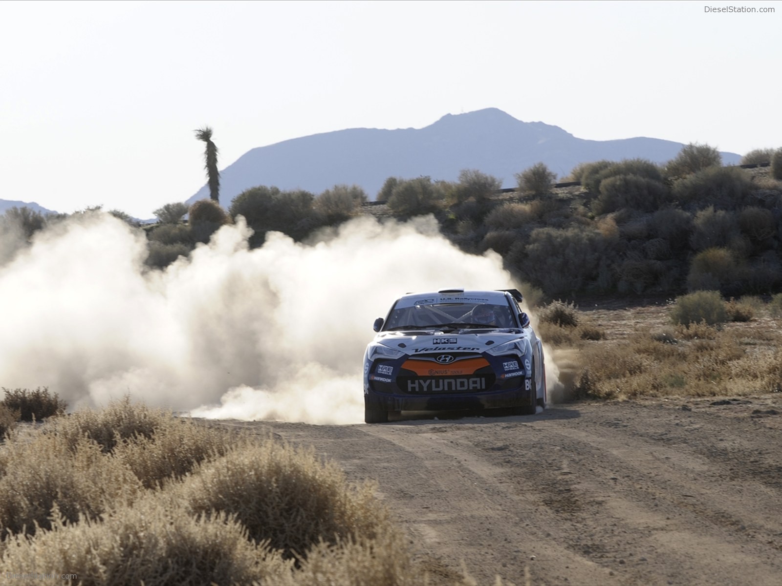 Hyundai Veloster Rally Car 2011
