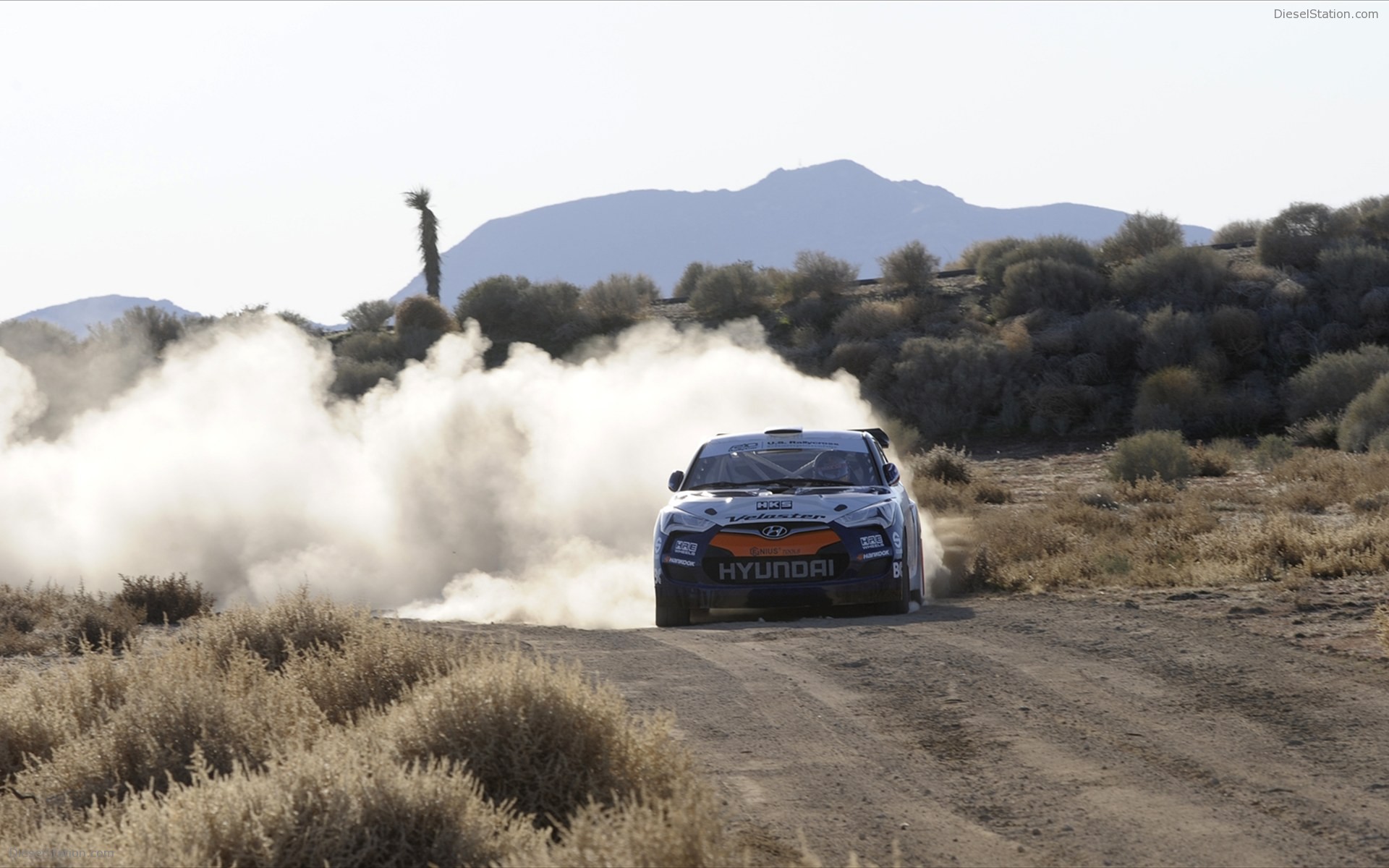 Hyundai Veloster Rally Car 2011