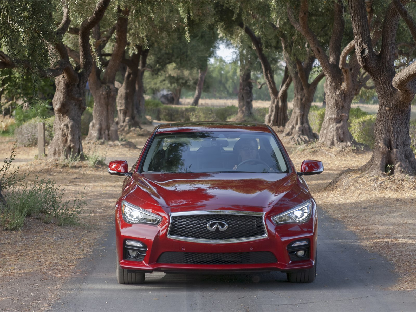 Infiniti Q50 2014