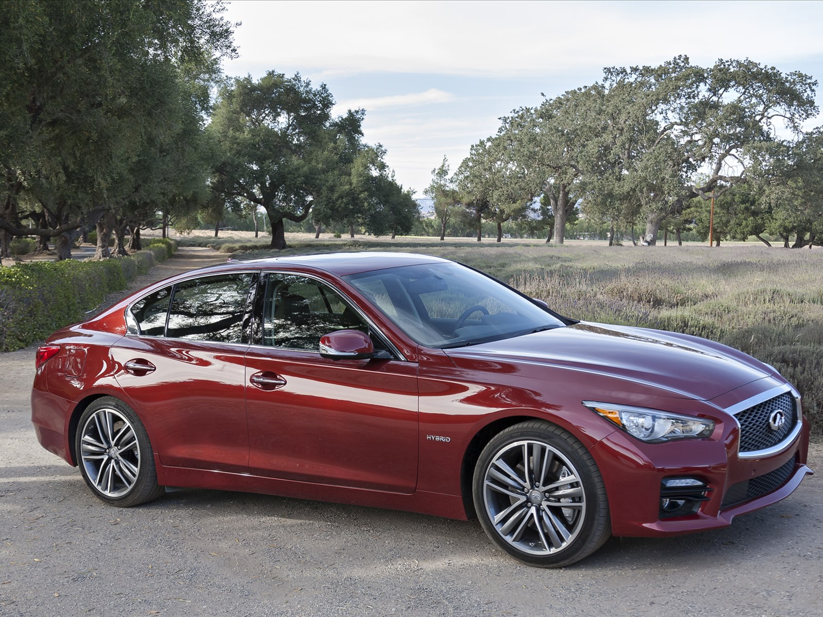Infiniti Q50 2014