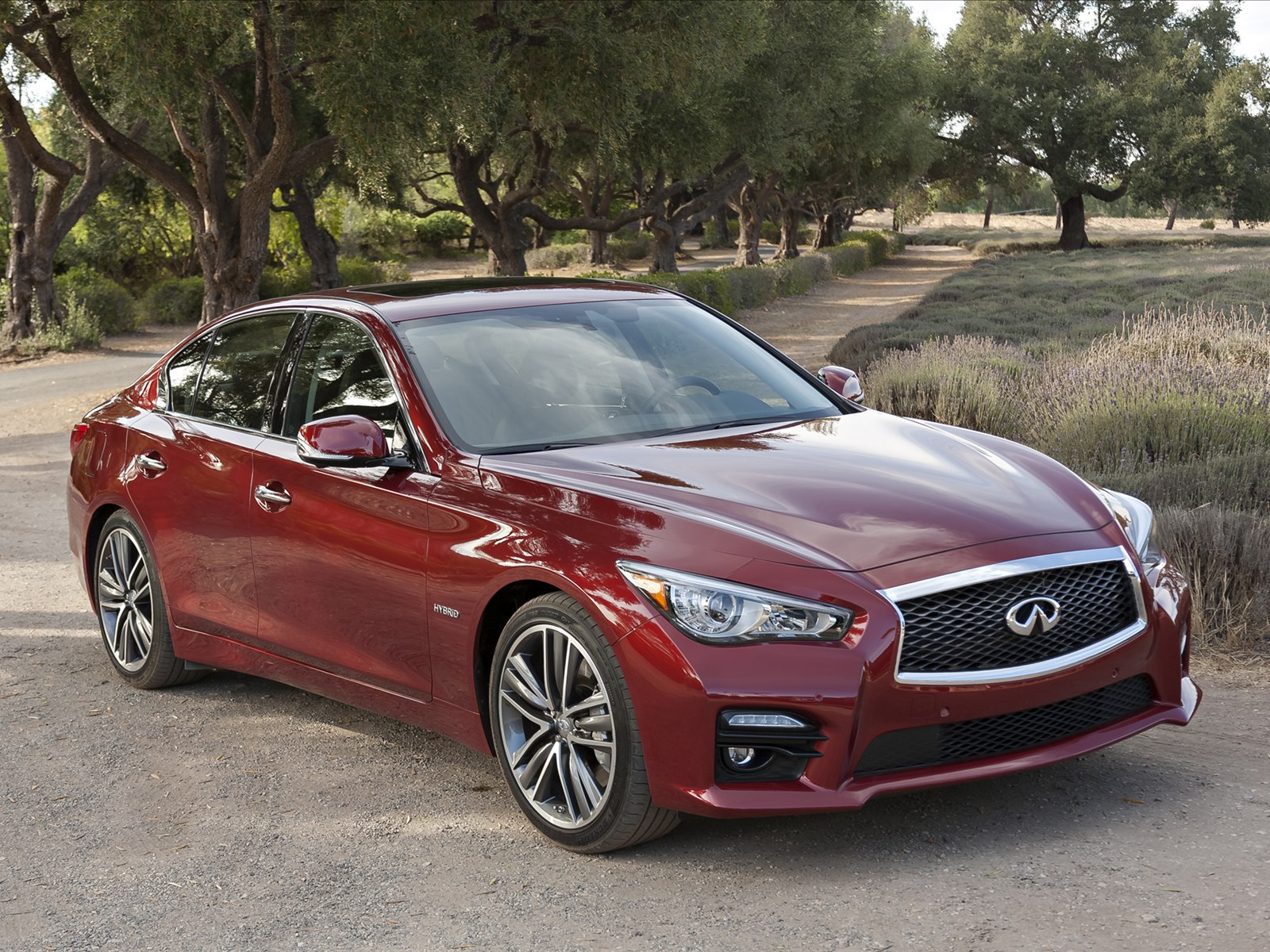 Infiniti Q50 2014
