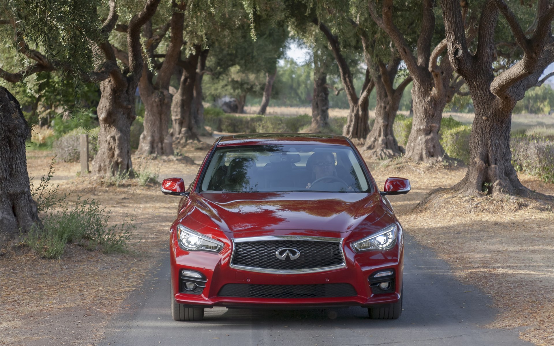Infiniti Q50 2014