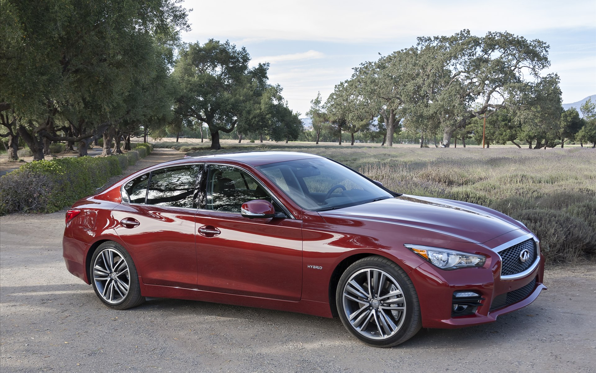 Infiniti Q50 2014
