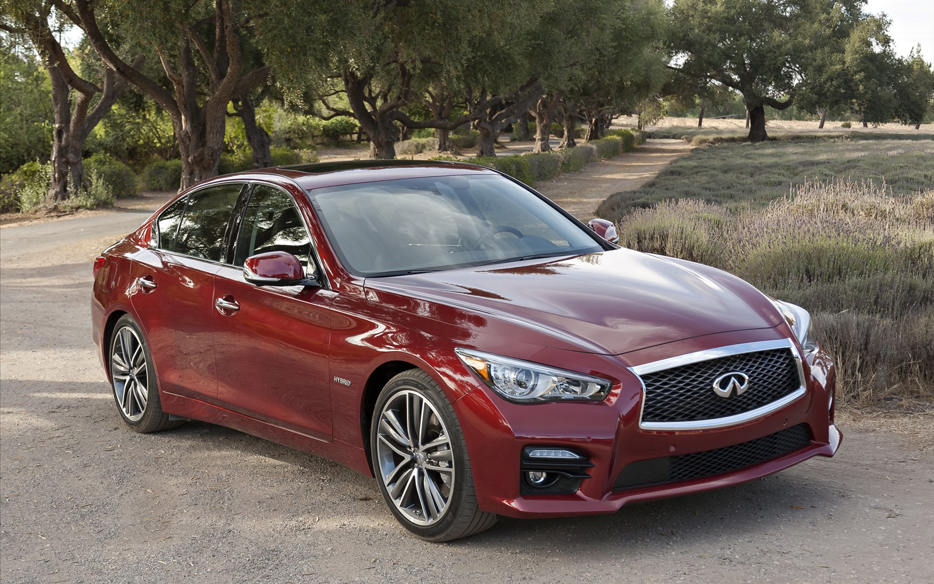 Infiniti Q50 2014