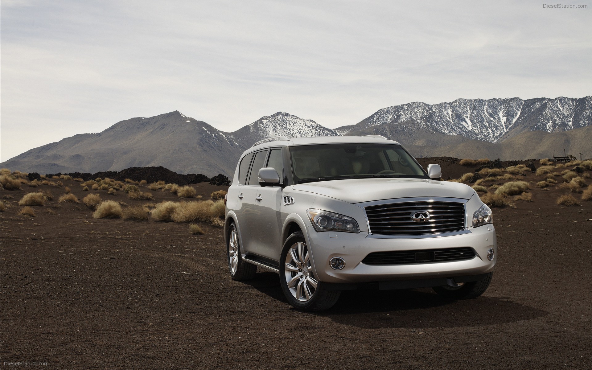 Infiniti QX 2011