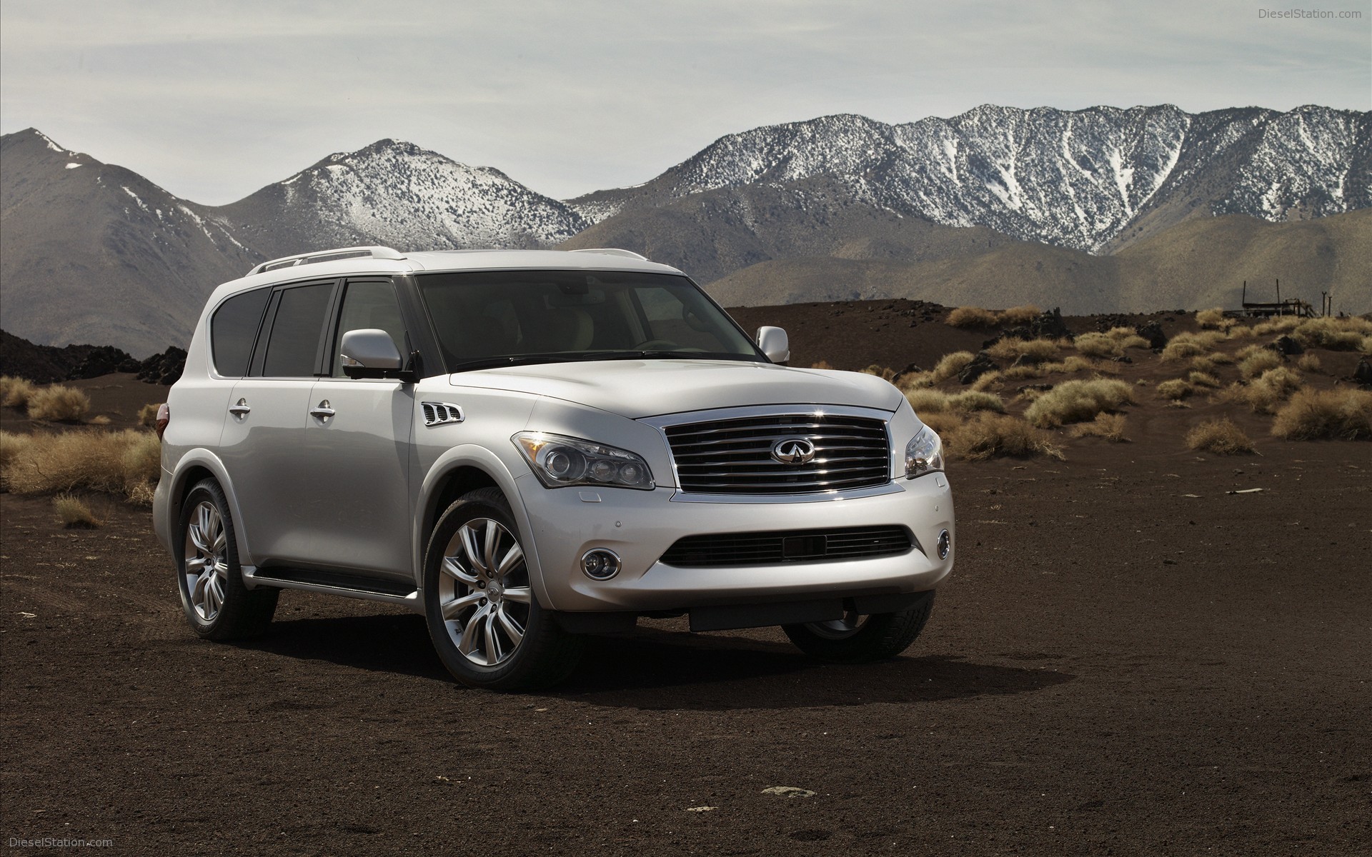 Infiniti QX 2011