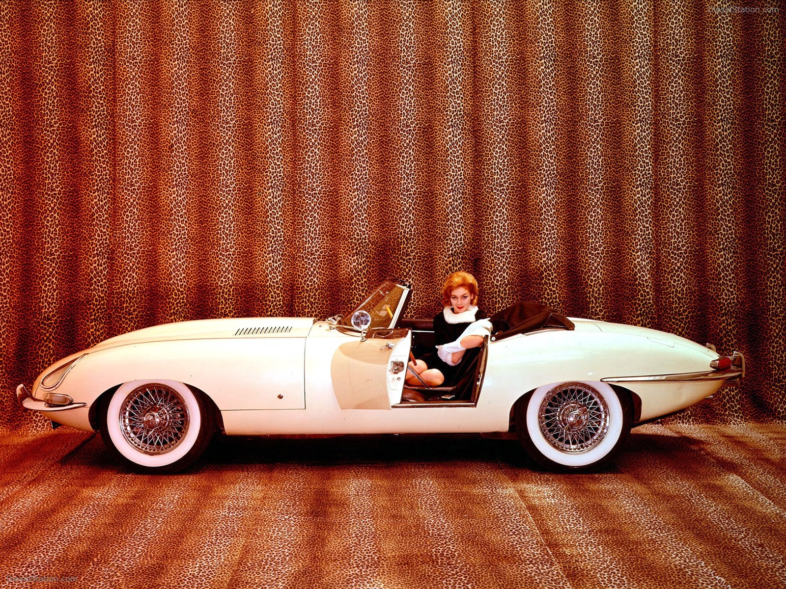 75 Years of Jaguar History Brought to Life