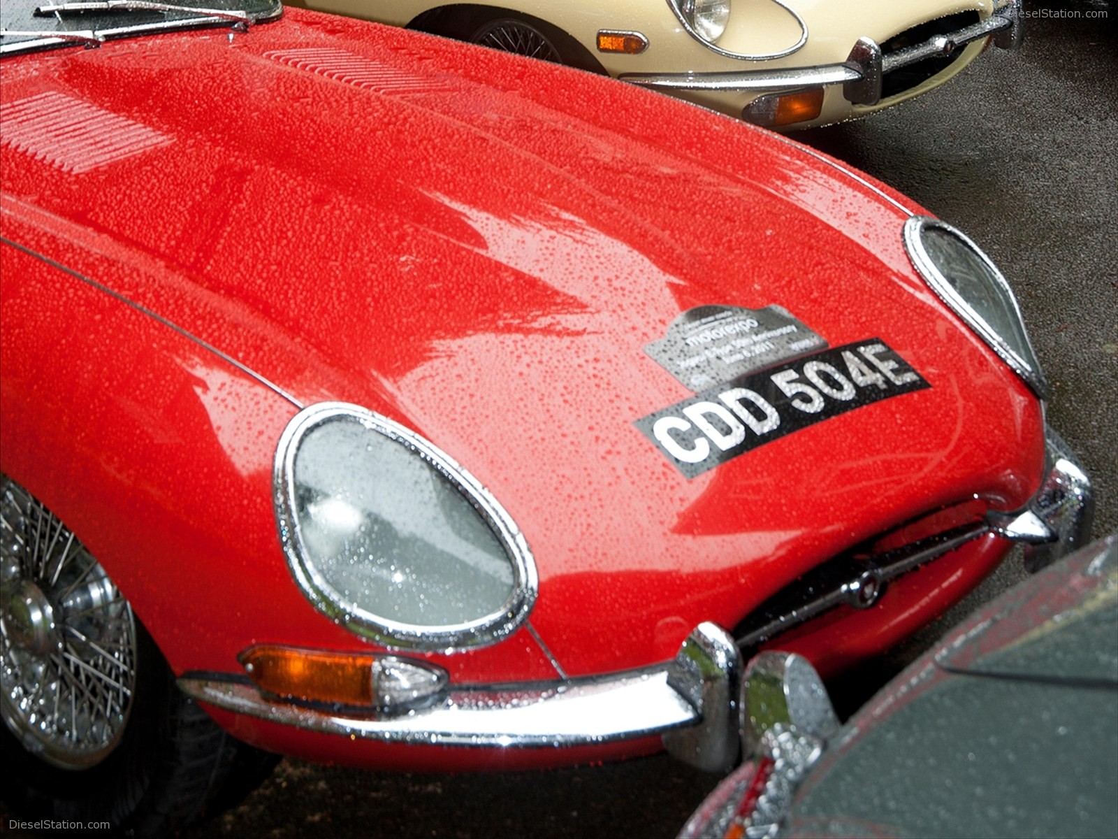 Jaguar E Type 50th Anniversary  1961