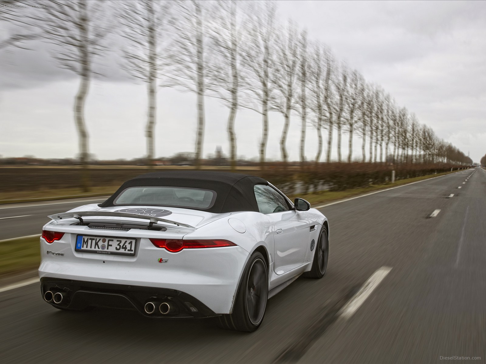 Jaguar F TYPE V8 S Sports Car 2013