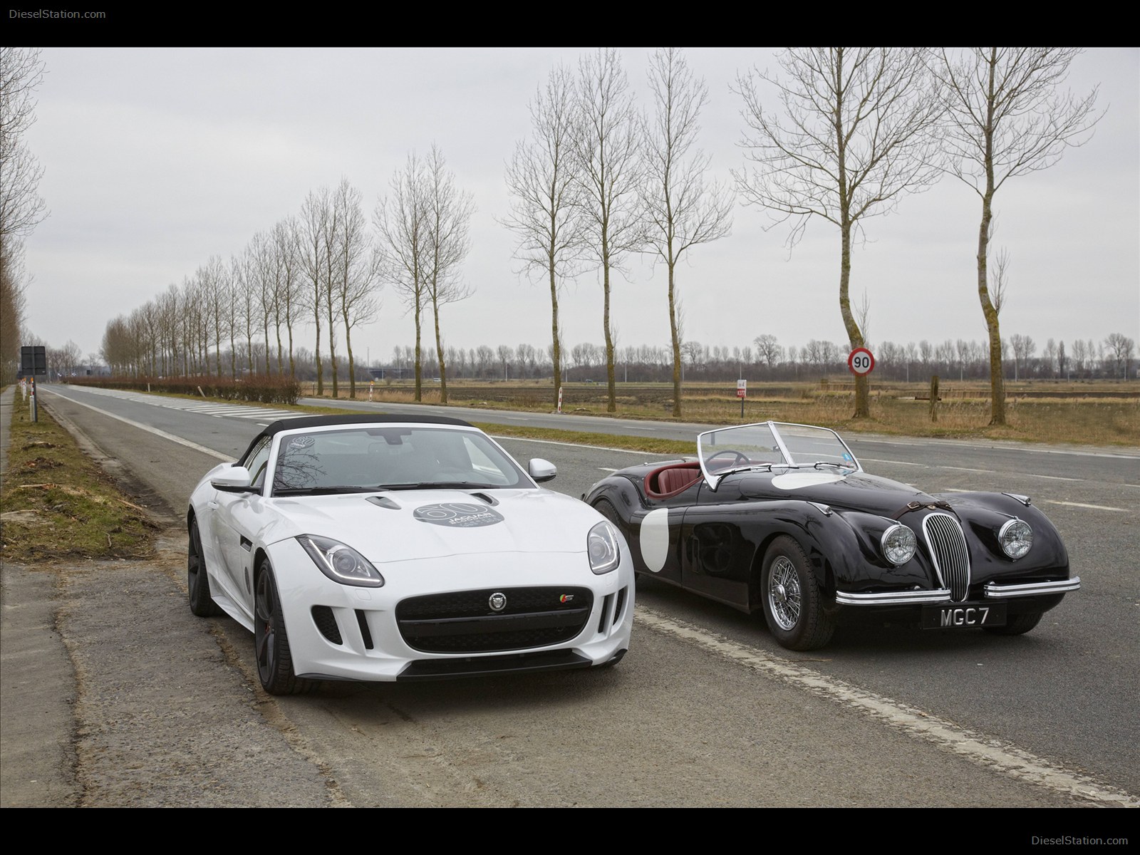 Jaguar F TYPE V8 S Sports Car 2013