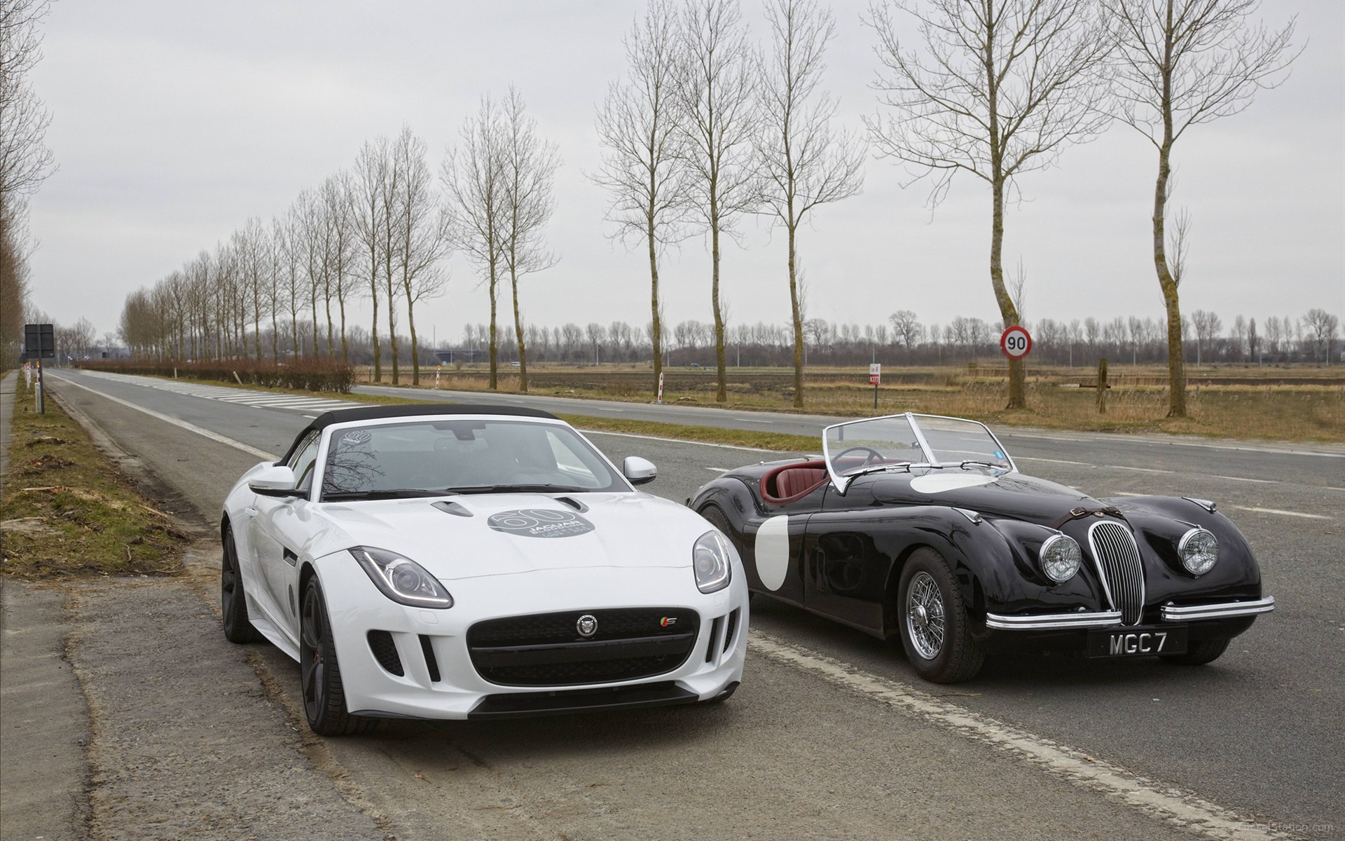 Jaguar F TYPE V8 S Sports Car 2013