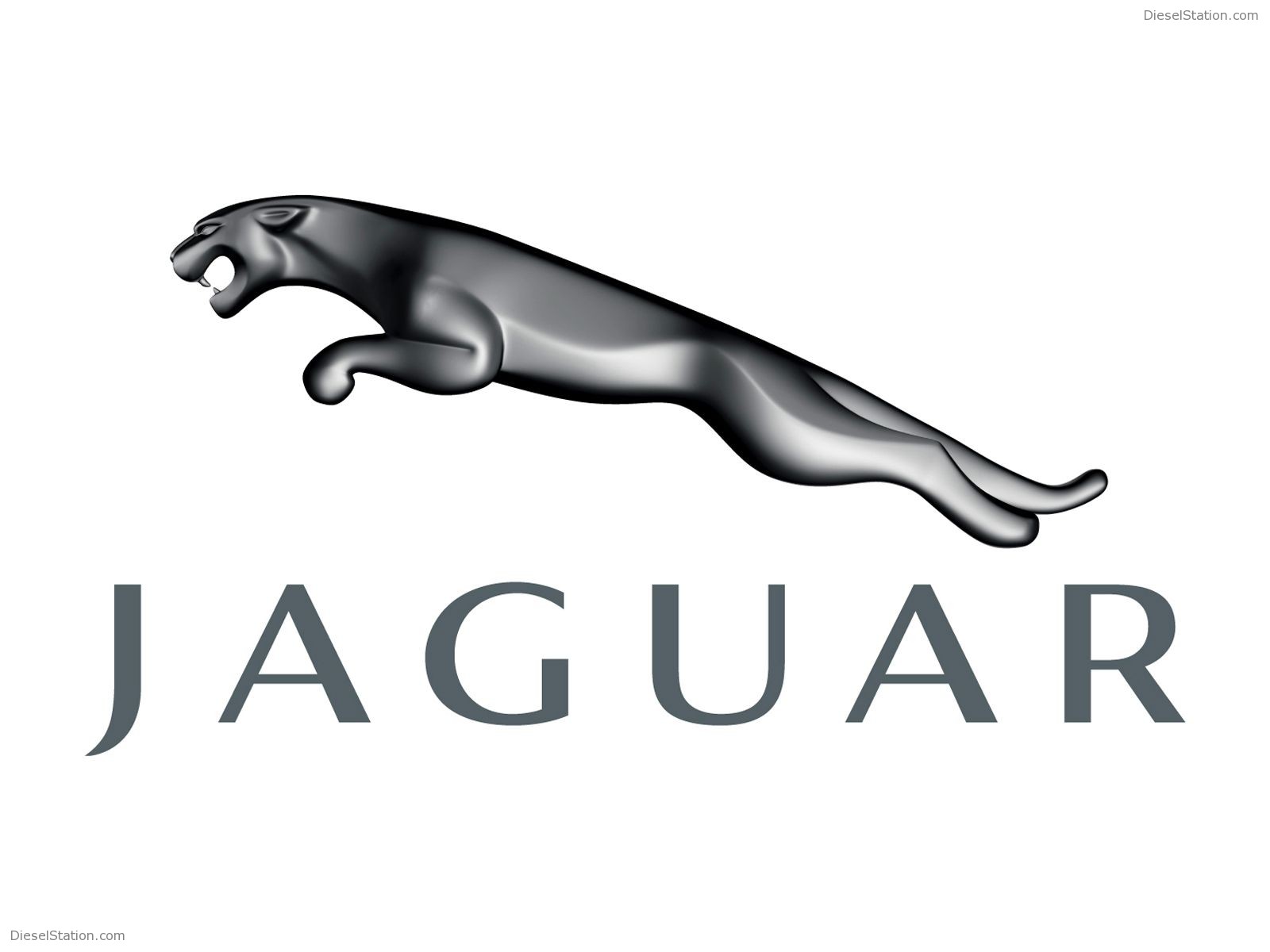Jaguar Miscellaneous