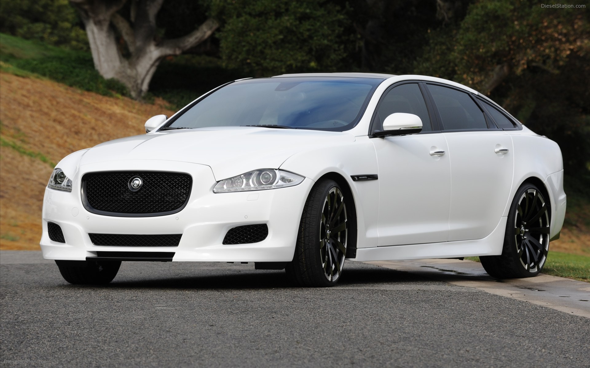 Jaguar XJ75 Platinum Design Concept 2010