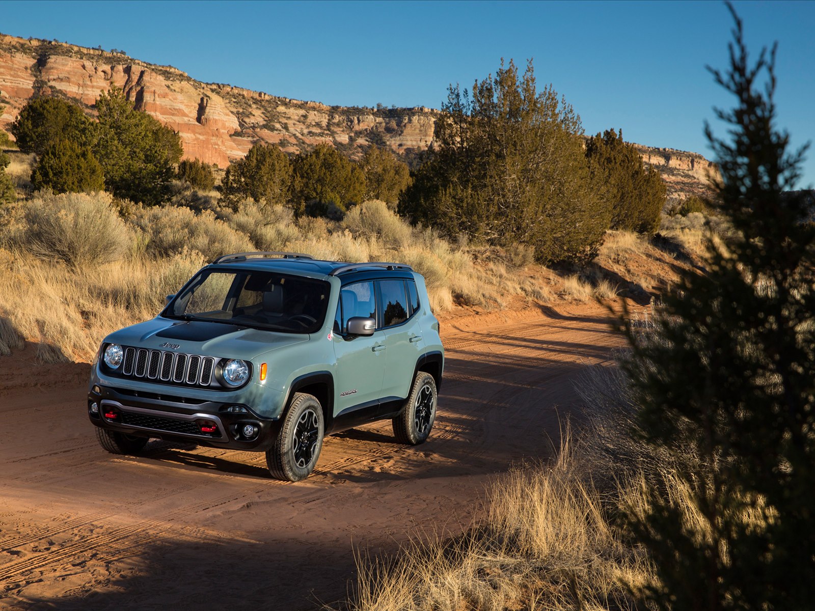 Jeep Renegade 2015