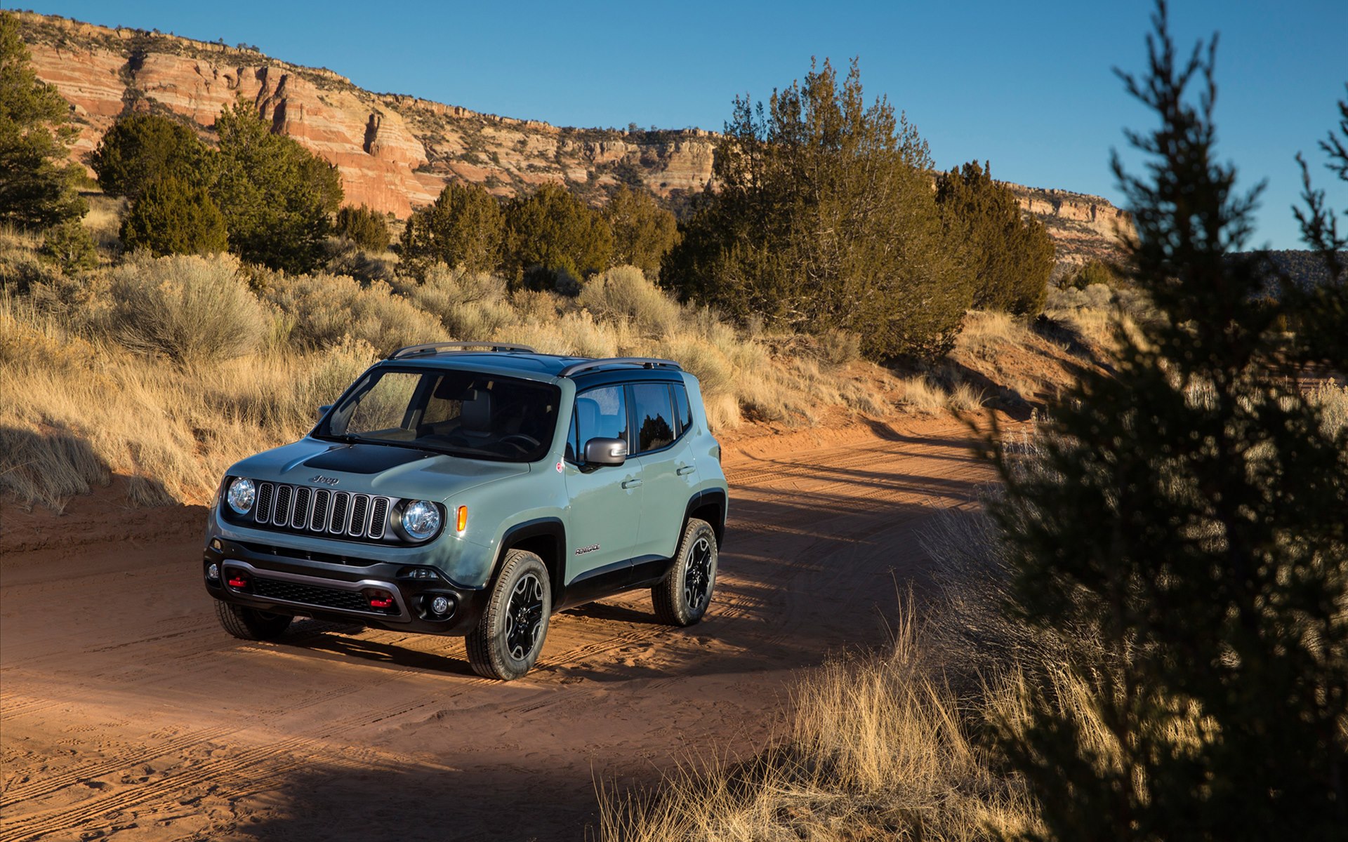 Jeep Renegade 2015