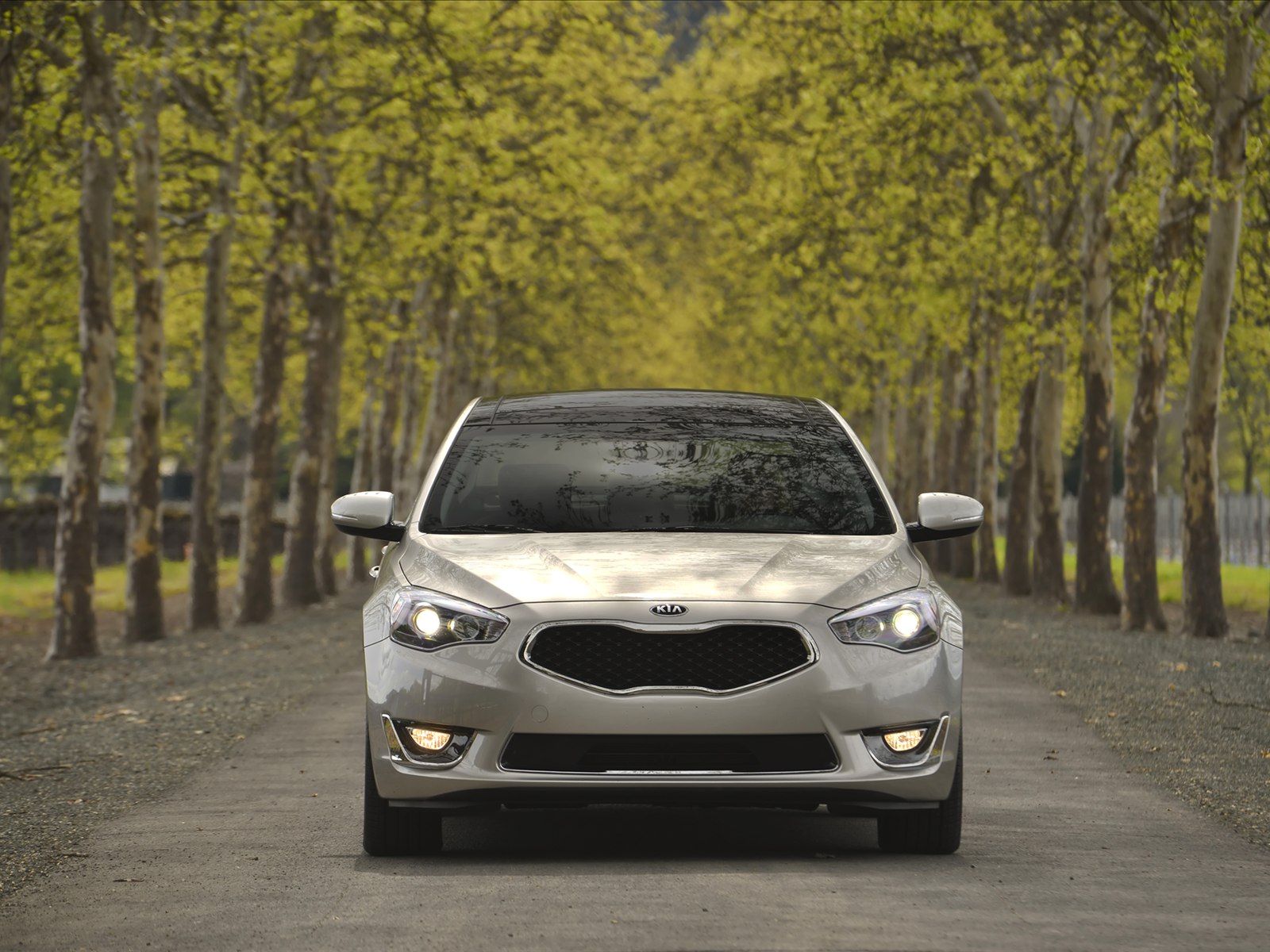 Kia Cadenza 2014