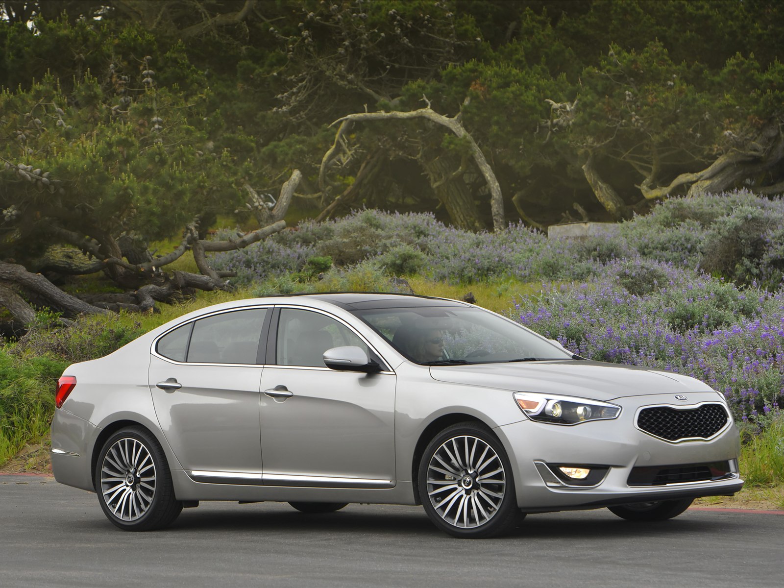 Kia Cadenza 2014