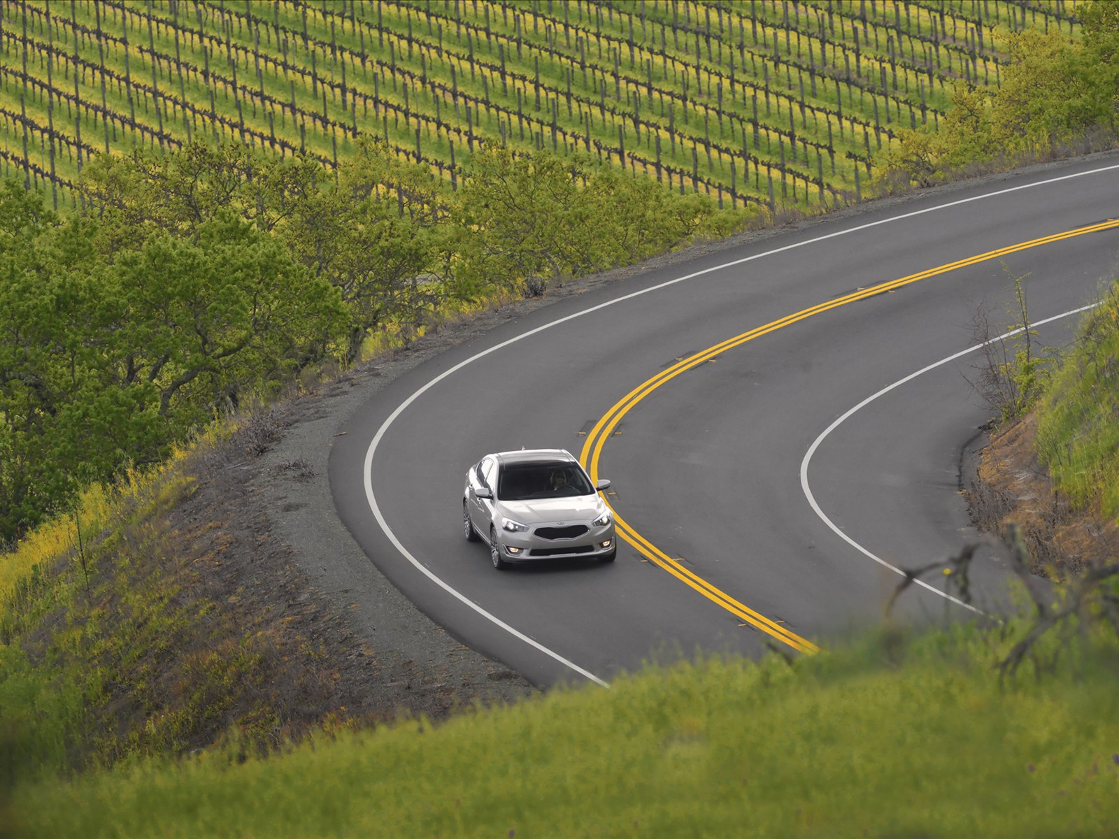 Kia Cadenza 2014