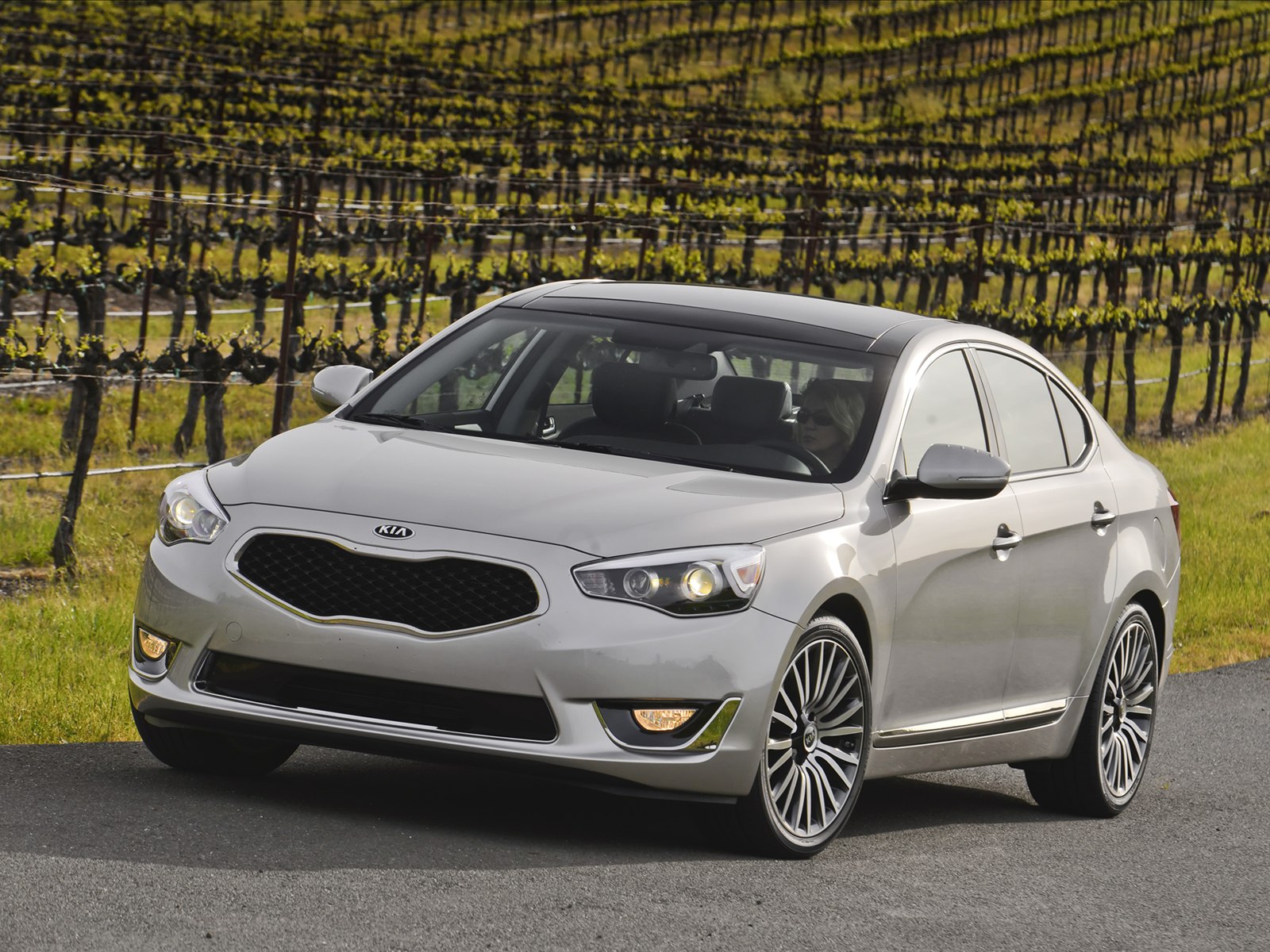 Kia Cadenza 2014