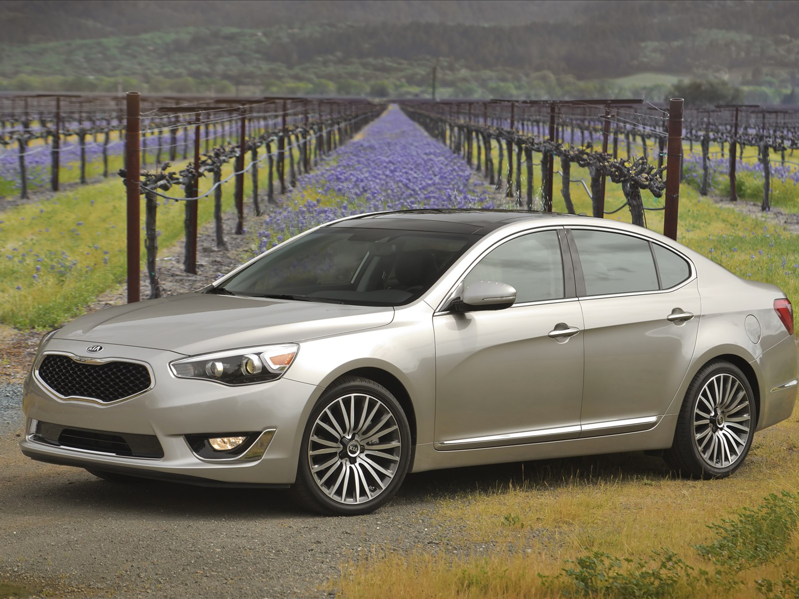 Kia Cadenza 2014