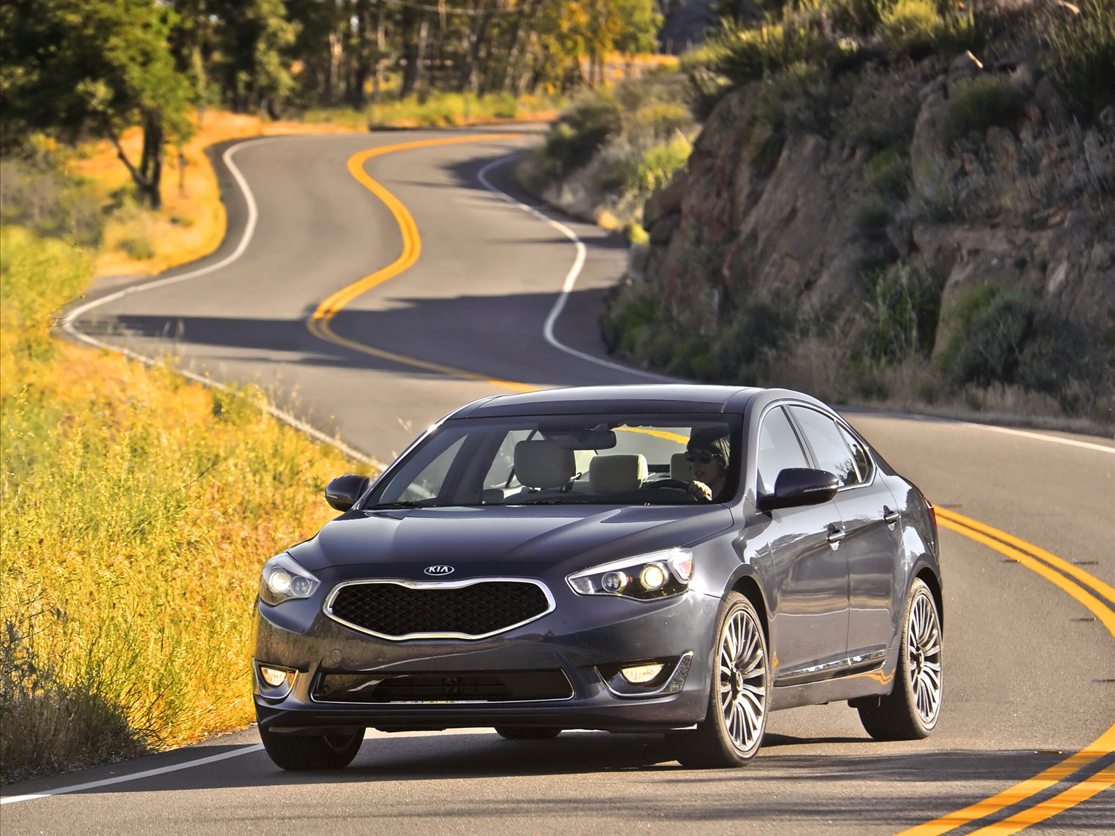 Kia Cadenza 2014