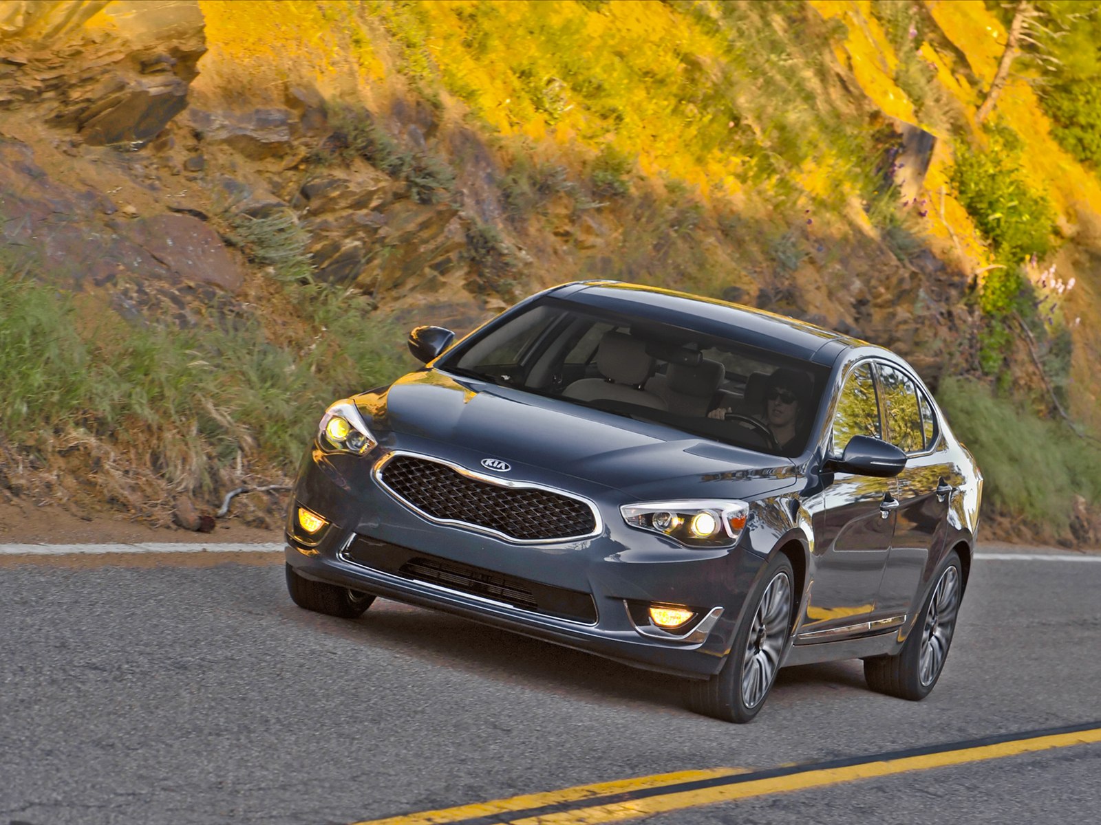 Kia Cadenza 2014