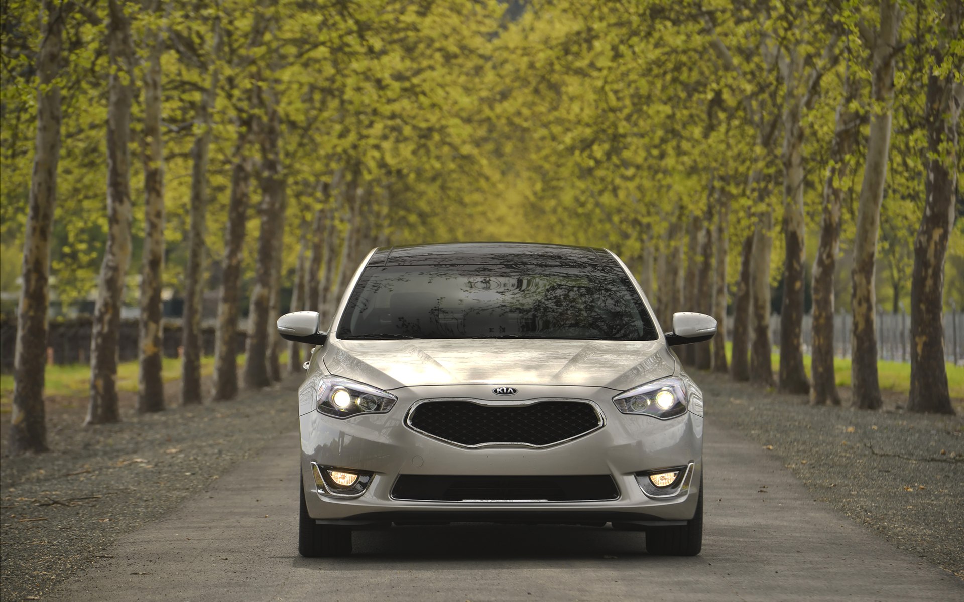 Kia Cadenza 2014