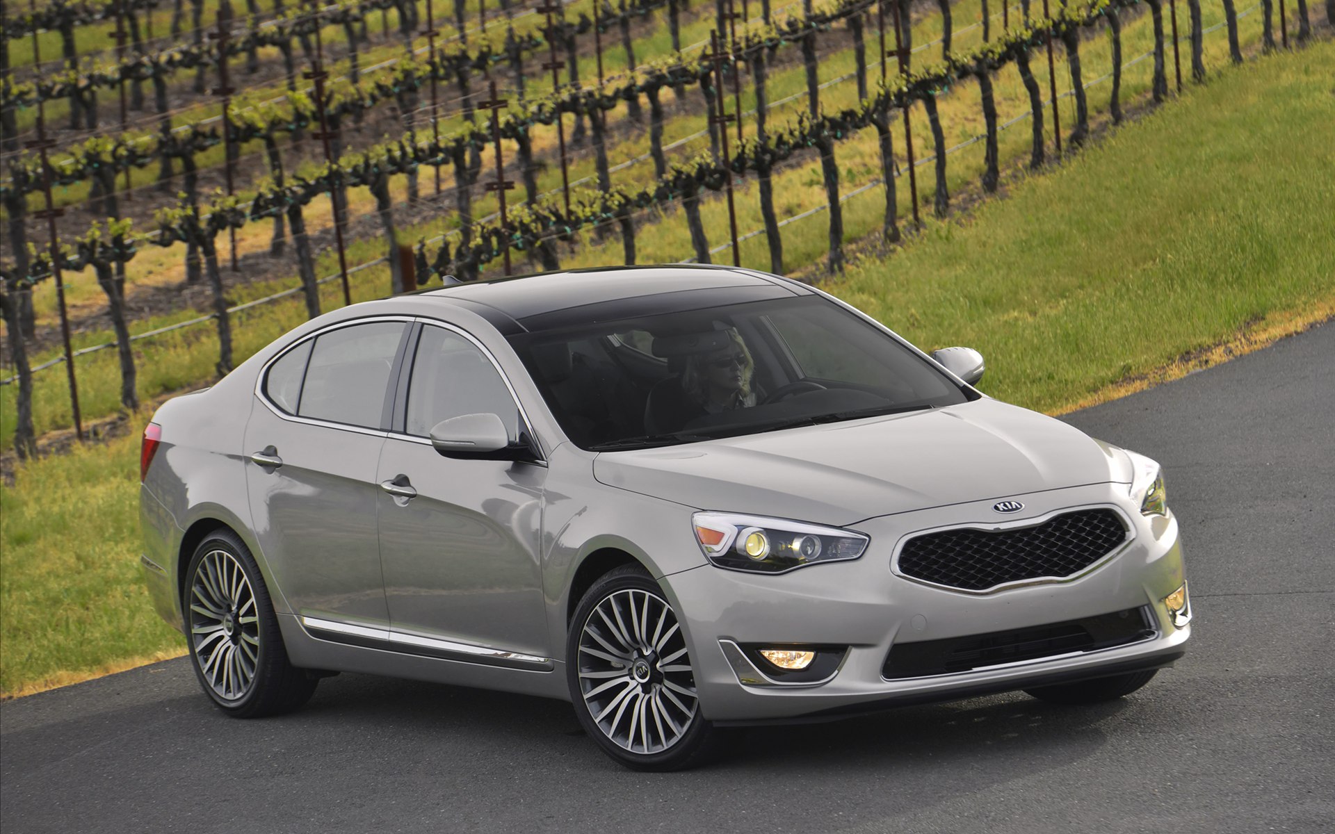 Kia Cadenza 2014
