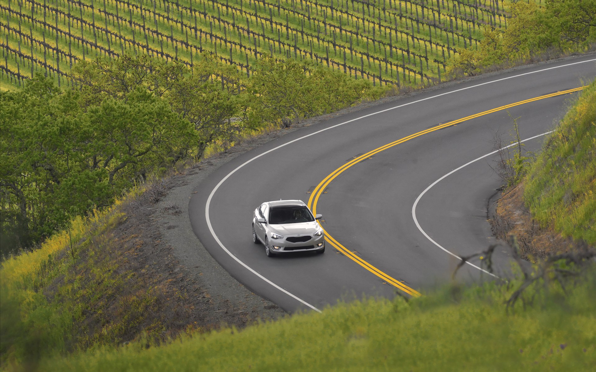Kia Cadenza 2014