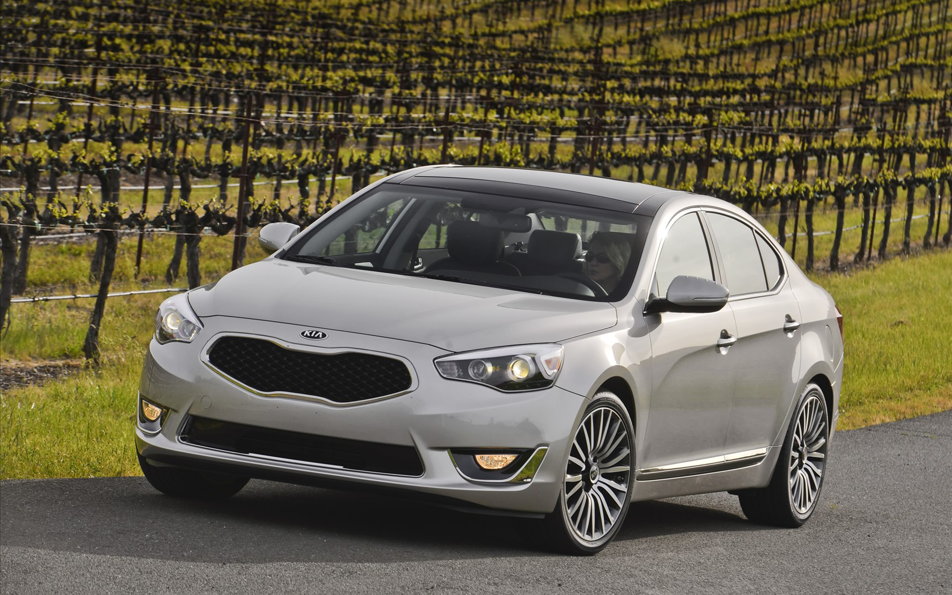 Kia Cadenza 2014