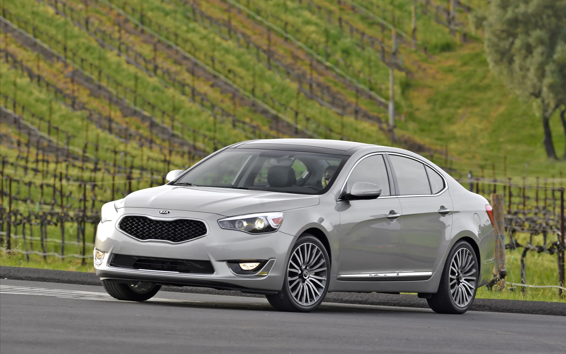 Kia Cadenza 2014