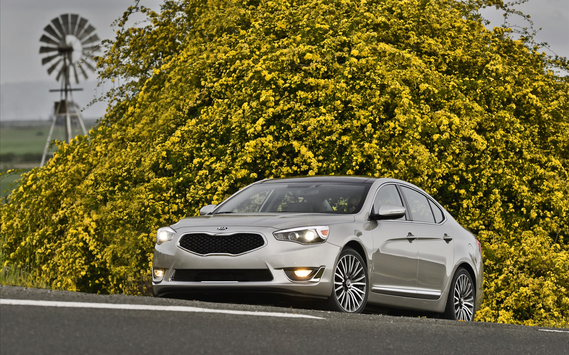 Kia Cadenza 2014
