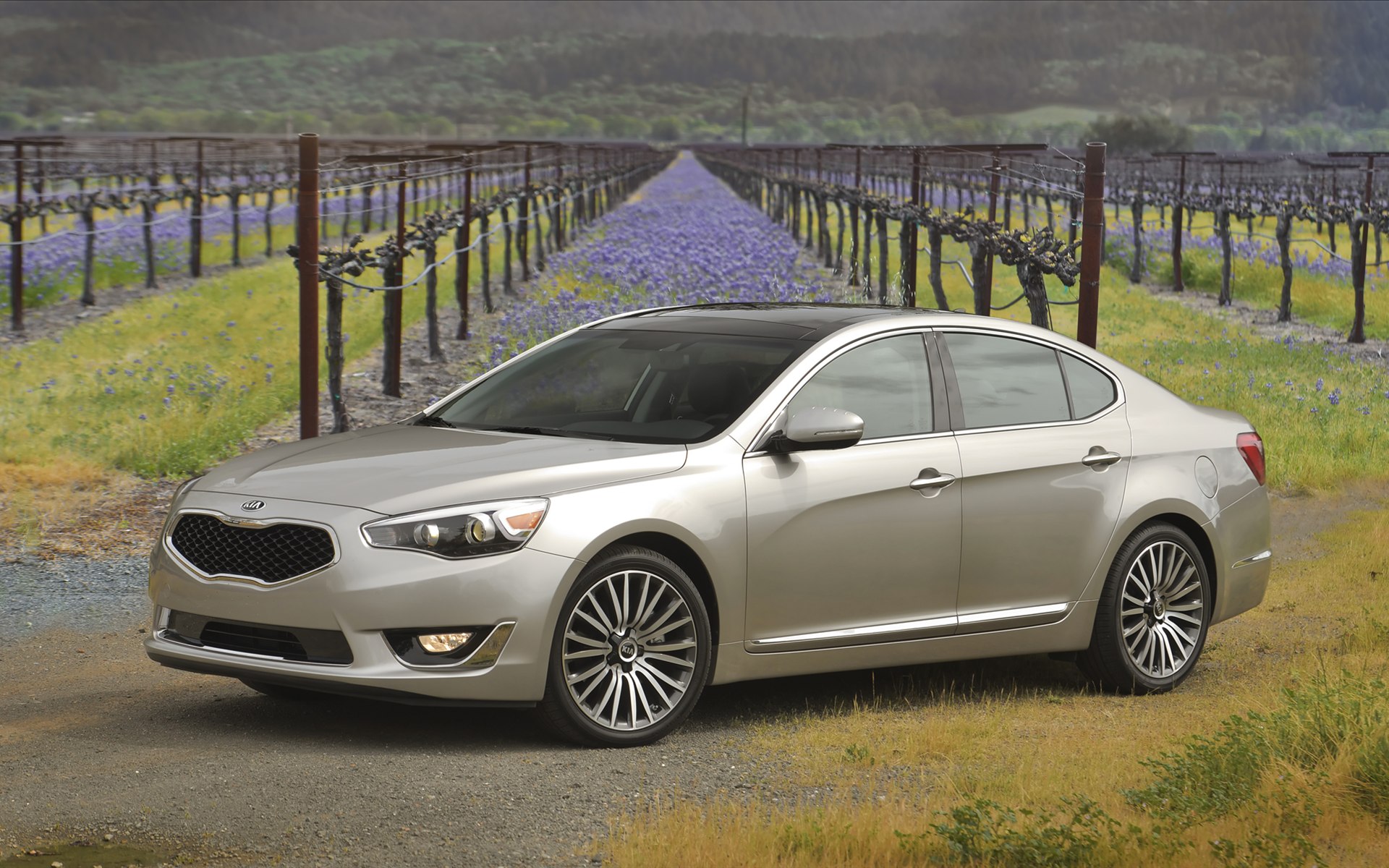 Kia Cadenza 2014