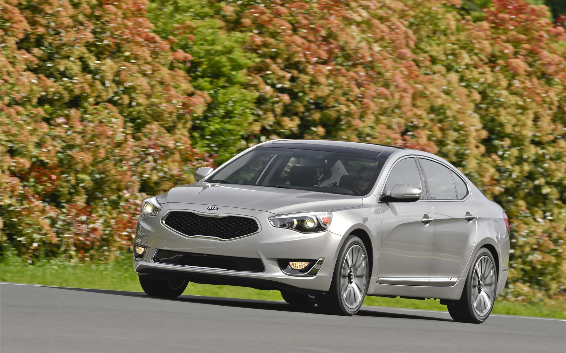 Kia Cadenza 2014