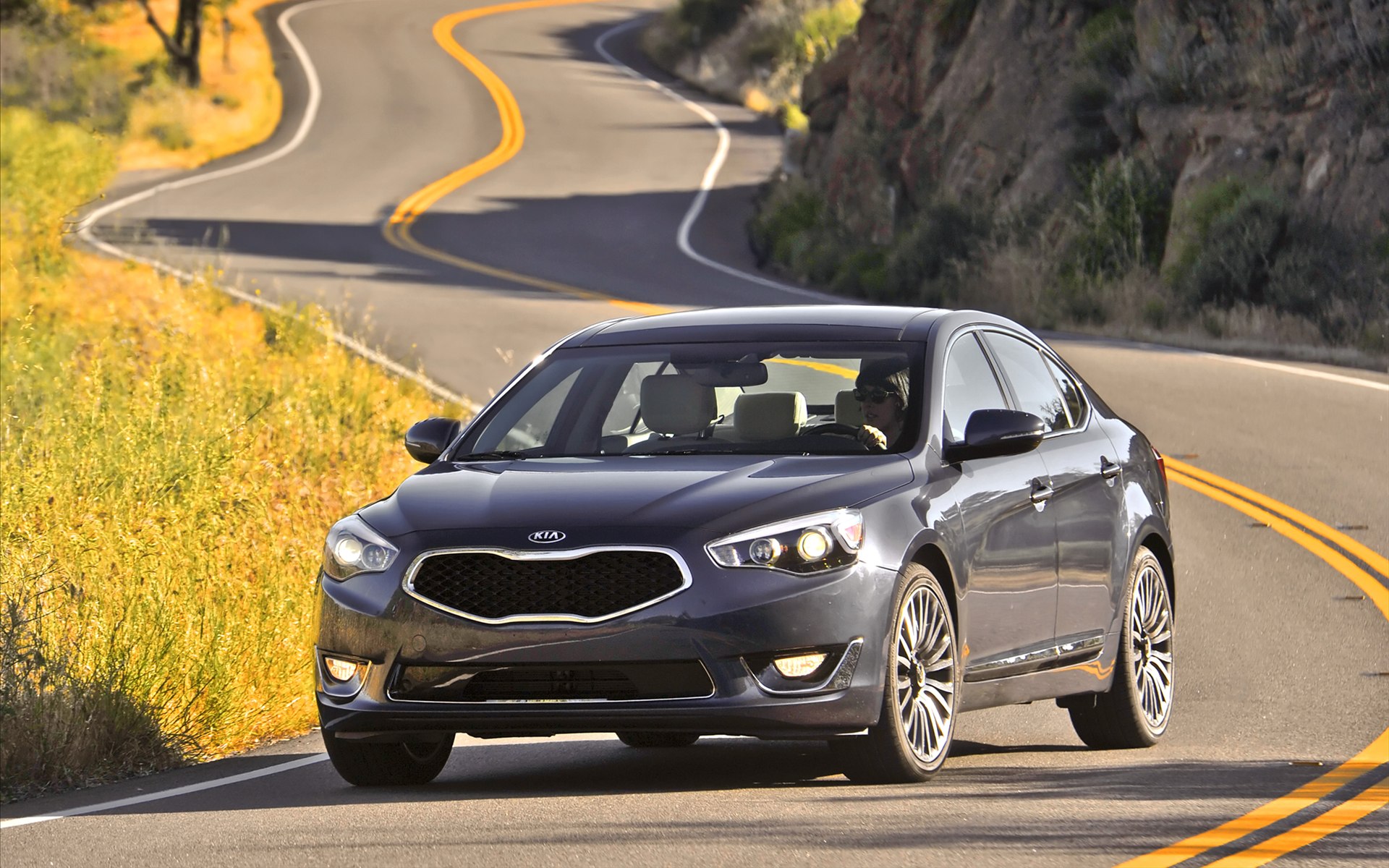 Kia Cadenza 2014