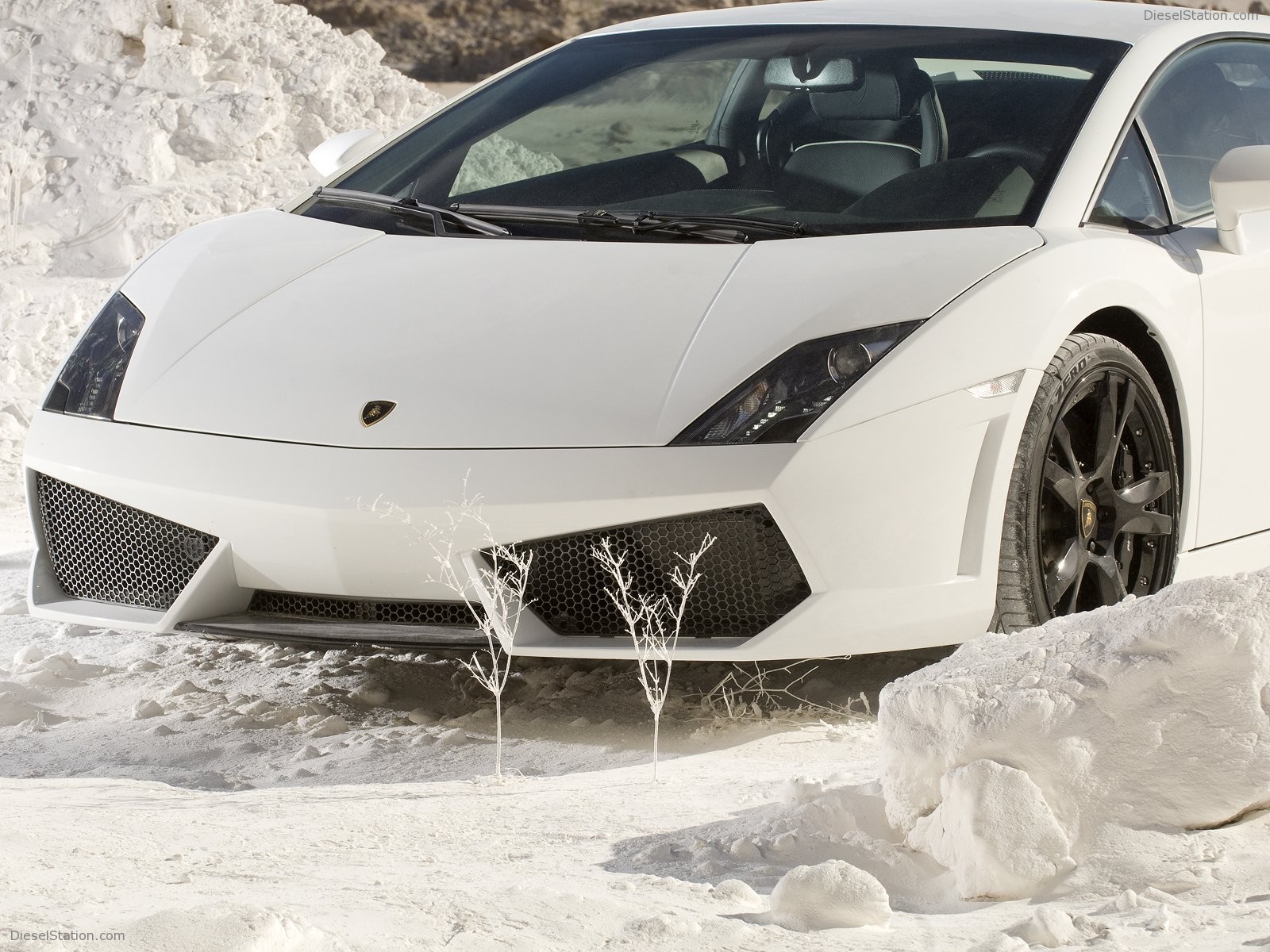 Lamborghini Gallardo LP 560-4 
