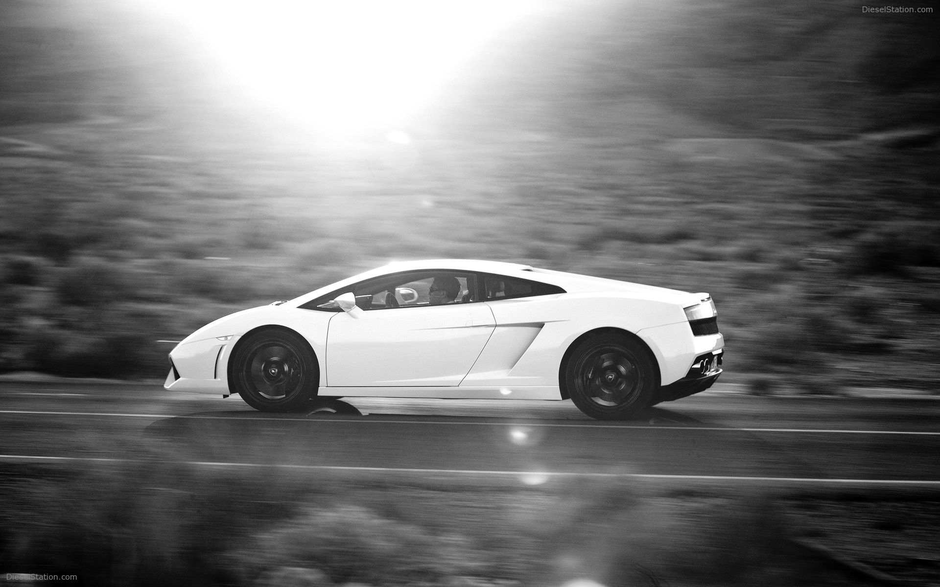 Lamborghini Gallardo LP 560-4 