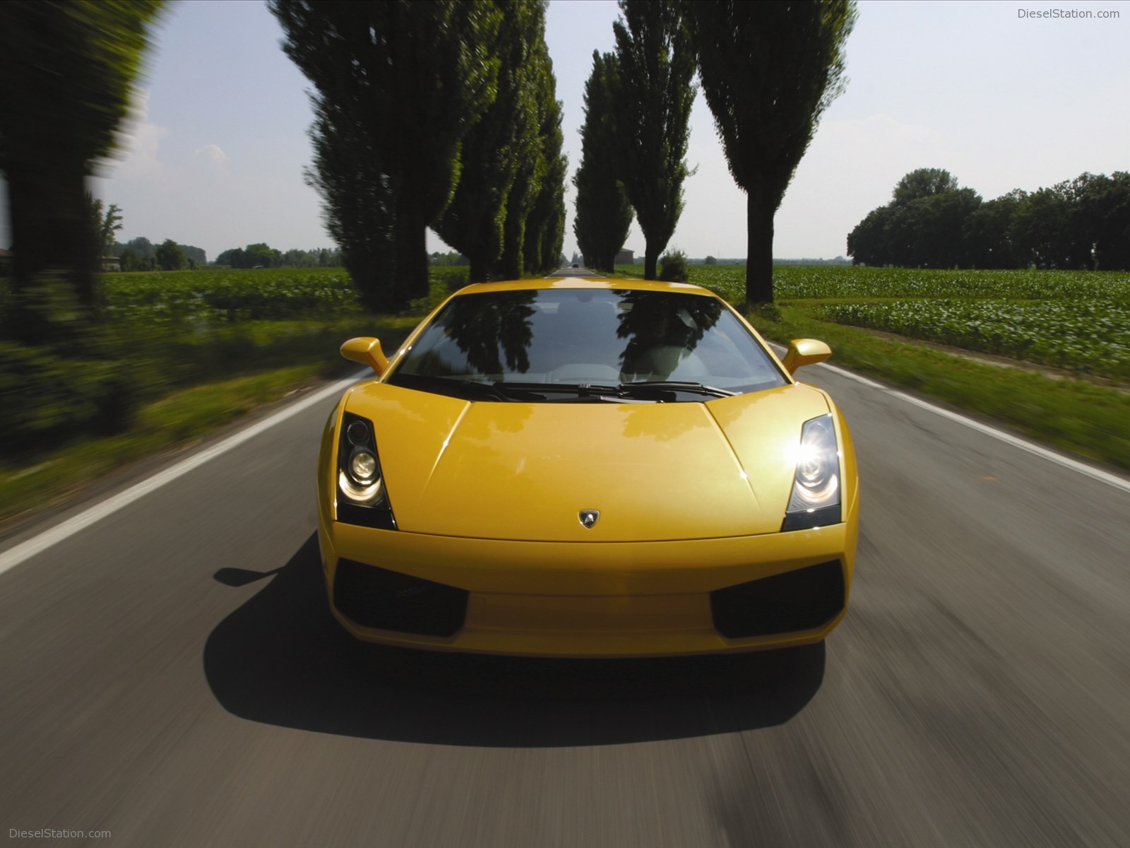 Lamborghini Gallardo