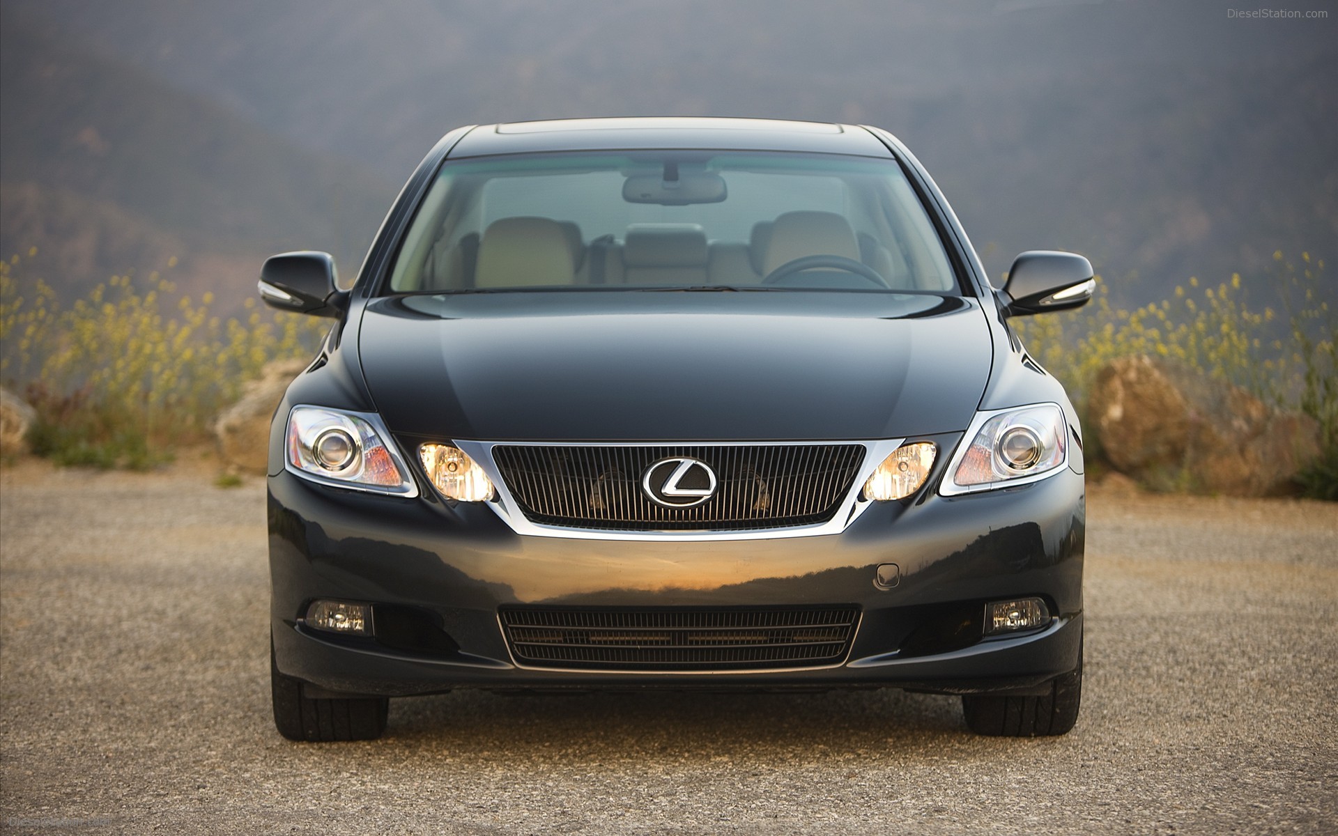 2009 Lexus GS 350