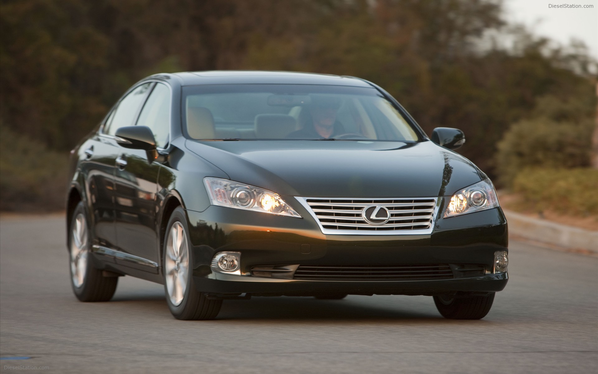 2010 Lexus ES 350