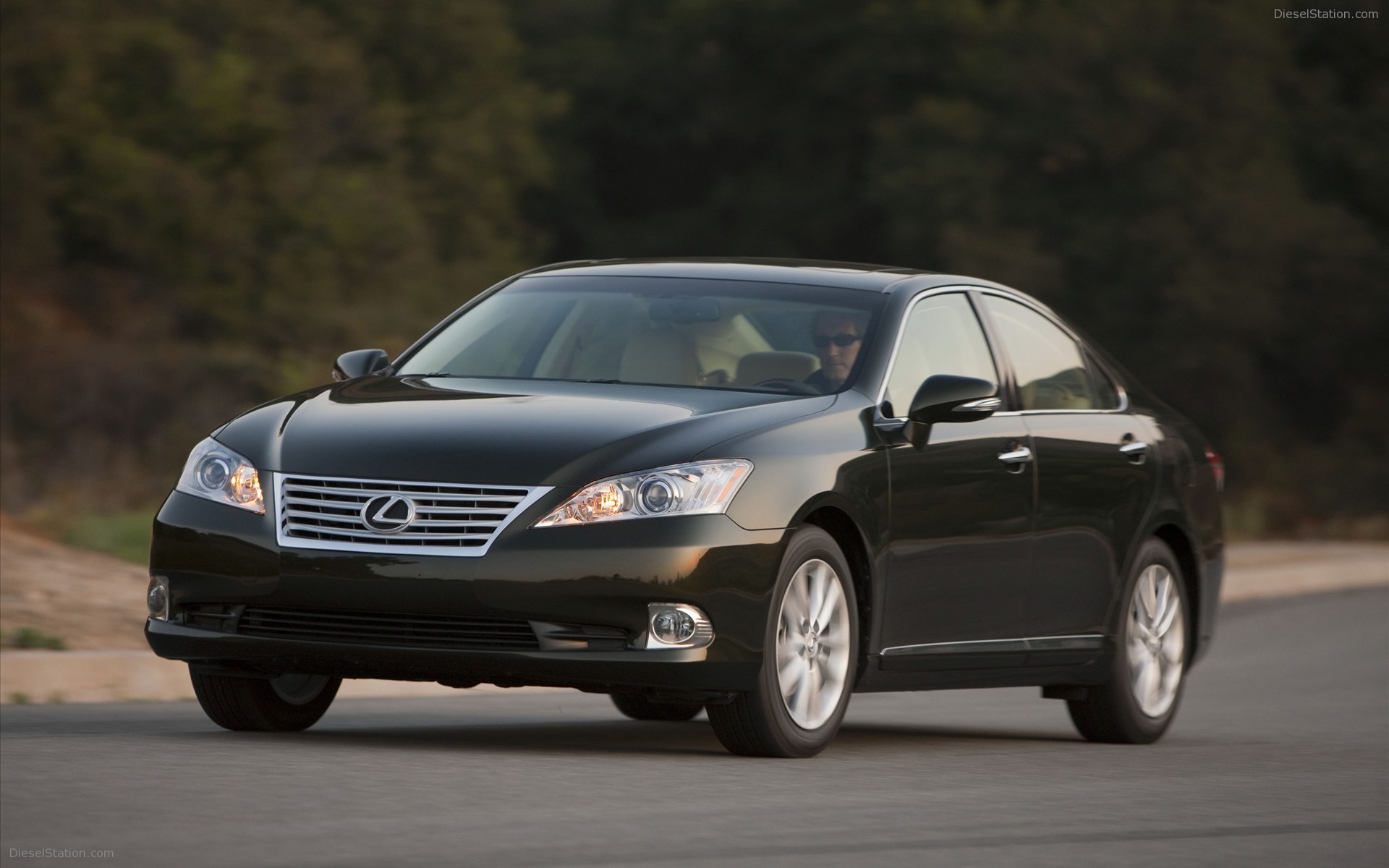 2010 Lexus ES 350