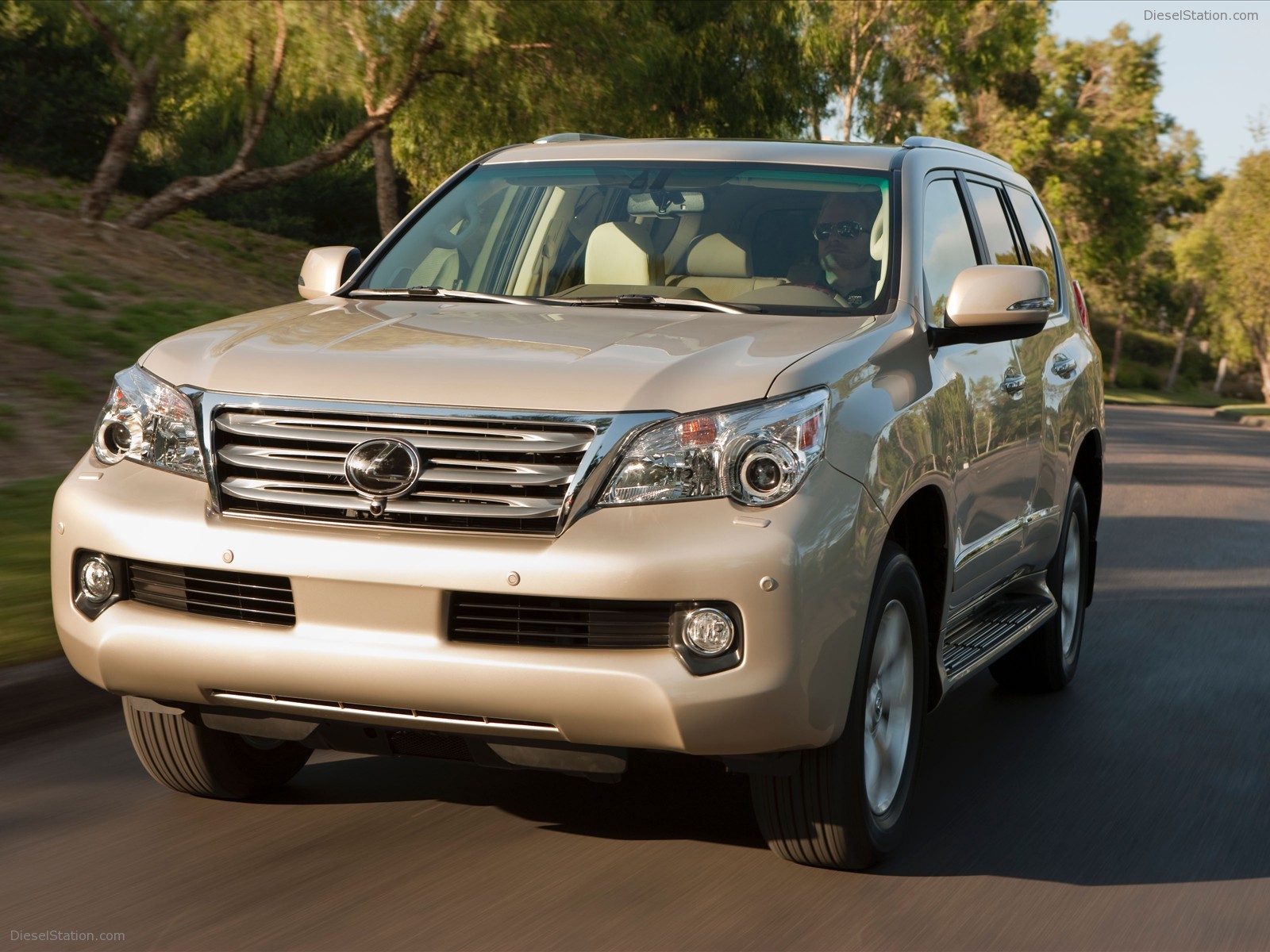 2010 Lexus GX 460