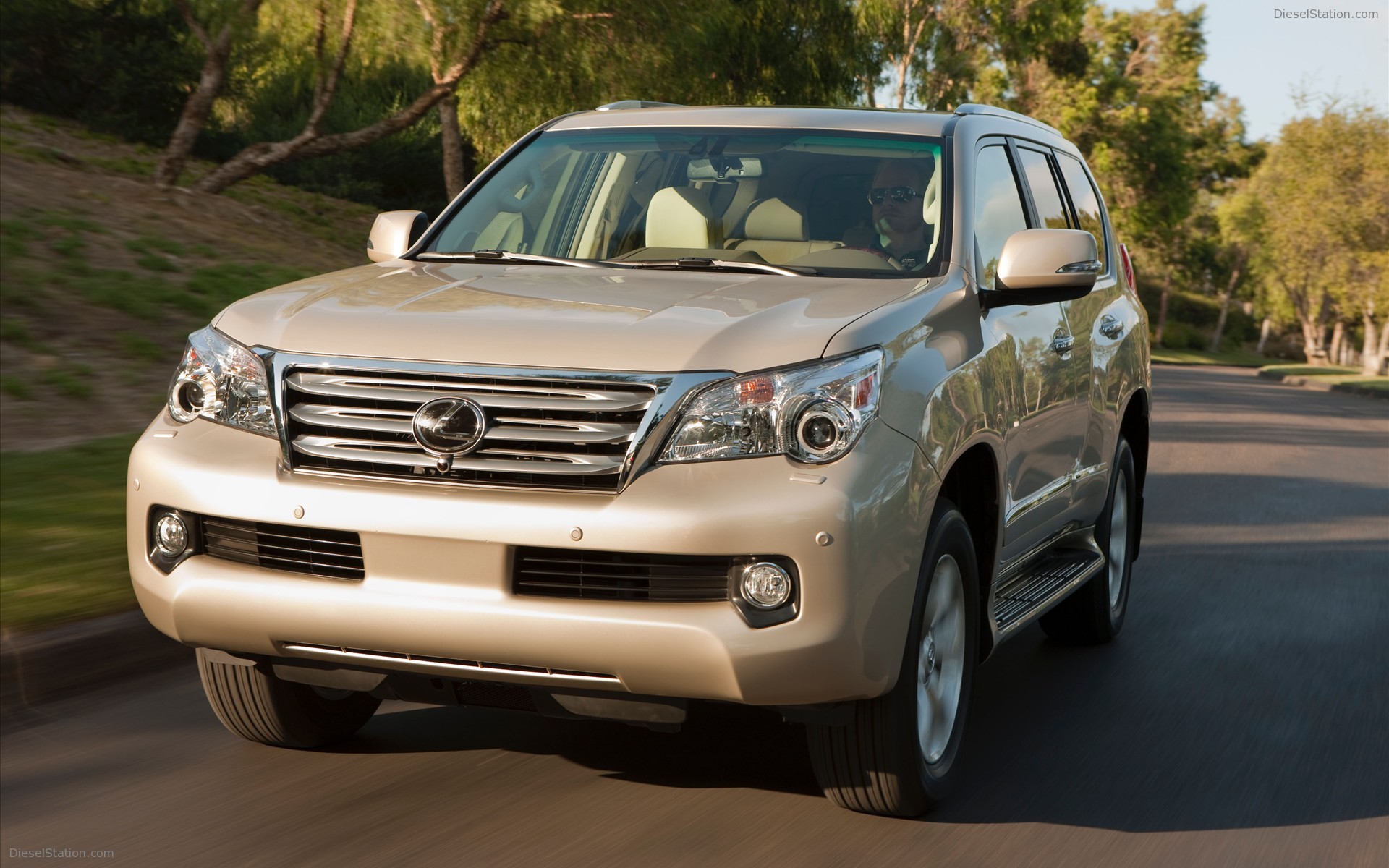 2010 Lexus GX 460