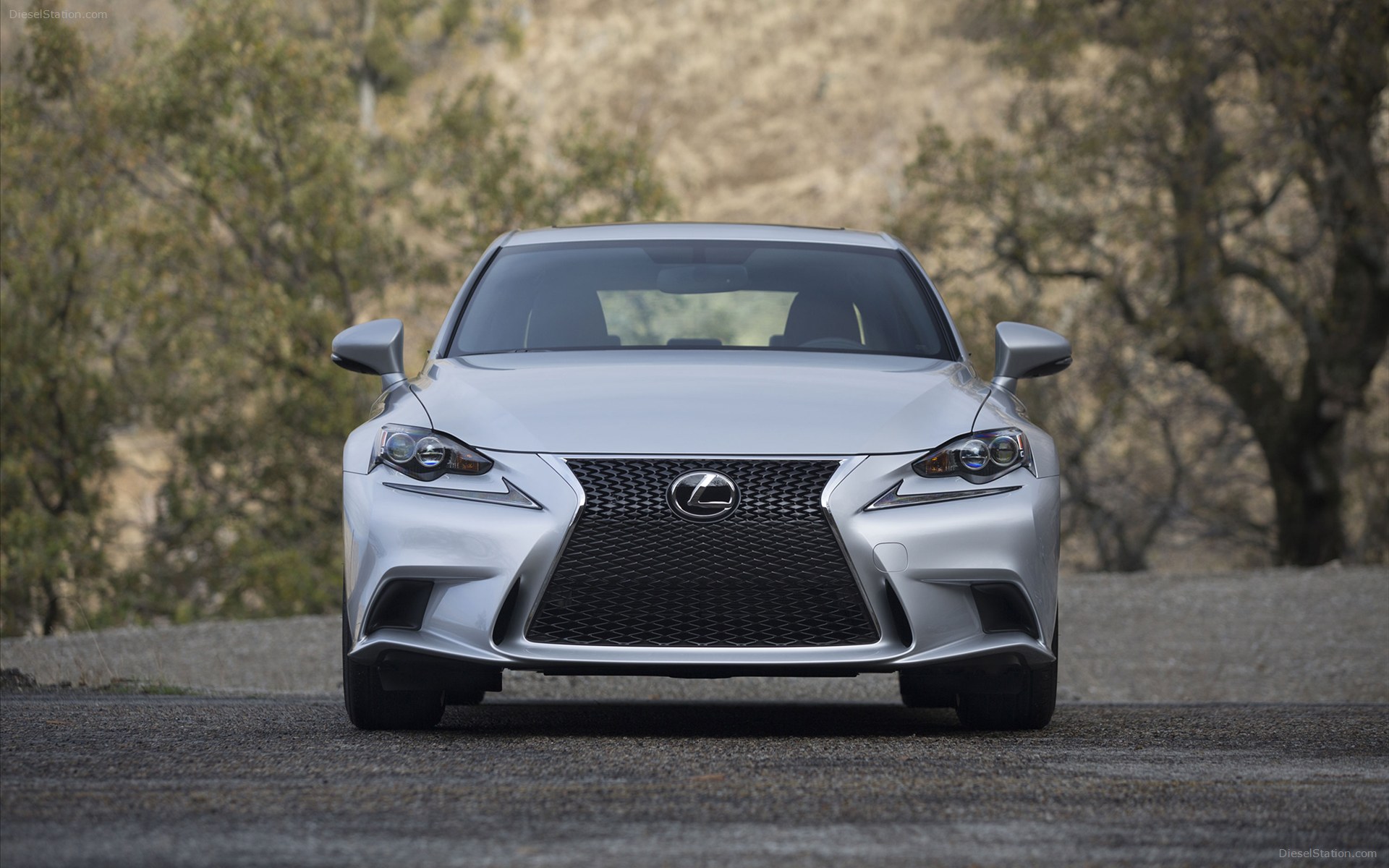 Lexus IS F SPORT 2014