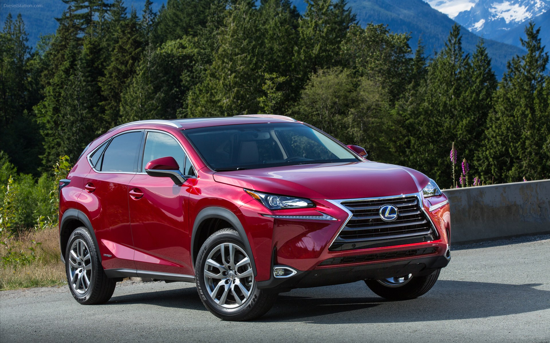 Lexus NX 300h 2015